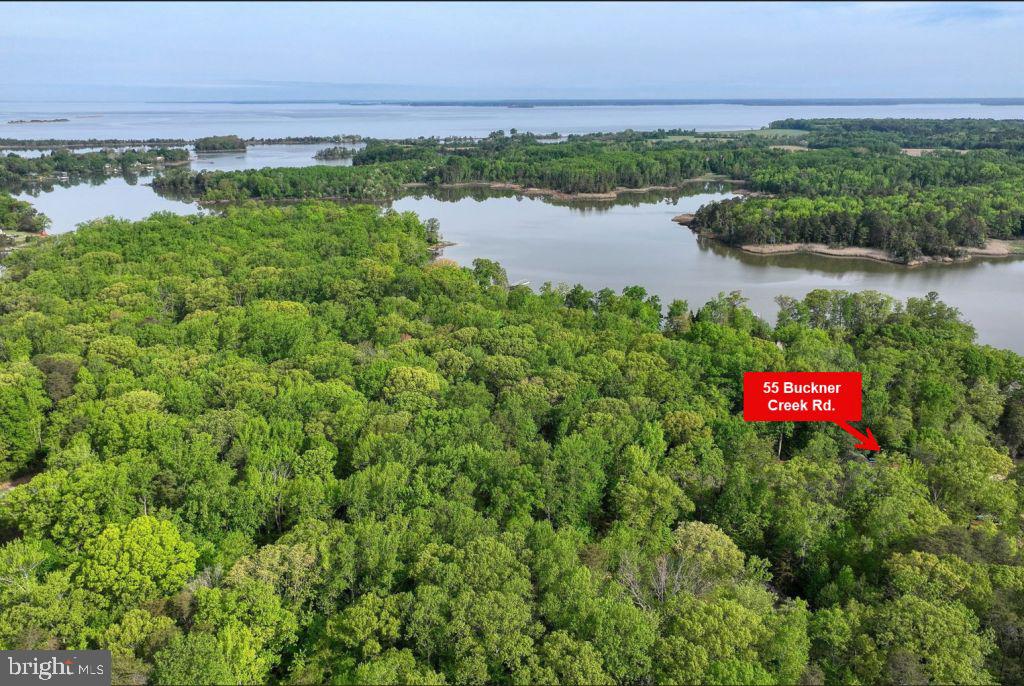 55 BUCKNER CREEK RD, MONTROSS, Virginia 22520, ,Land,For sale,55 BUCKNER CREEK RD,VAWE2009572 MLS # VAWE2009572