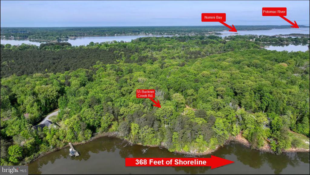 55 BUCKNER CREEK RD, MONTROSS, Virginia 22520, ,Land,For sale,55 BUCKNER CREEK RD,VAWE2009572 MLS # VAWE2009572
