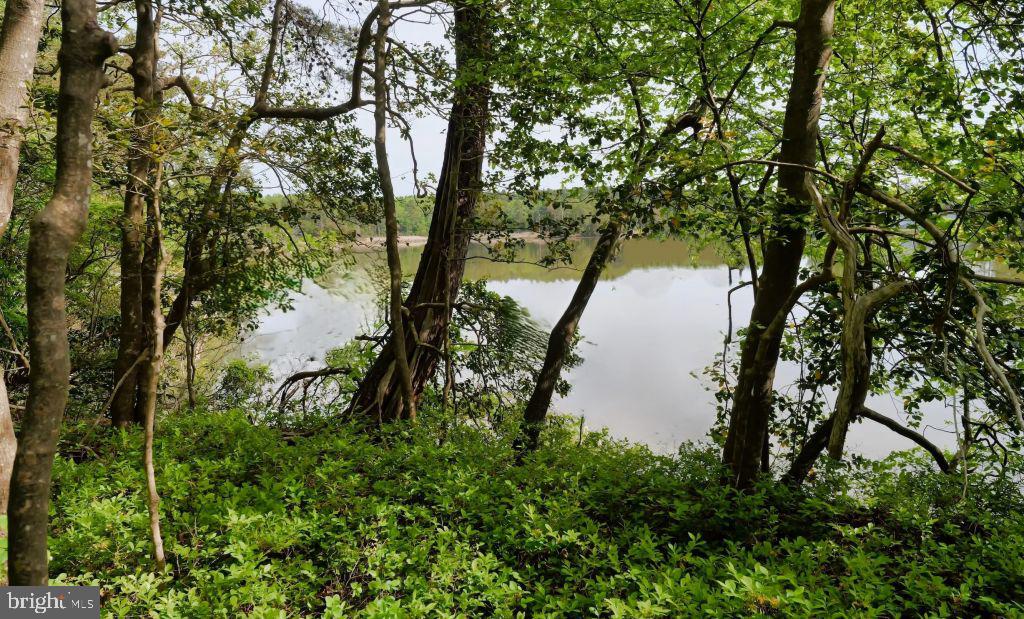 55 BUCKNER CREEK RD, MONTROSS, Virginia 22520, ,Land,For sale,55 BUCKNER CREEK RD,VAWE2009572 MLS # VAWE2009572