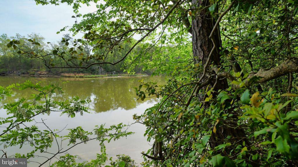 55 BUCKNER CREEK RD, MONTROSS, Virginia 22520, ,Land,For sale,55 BUCKNER CREEK RD,VAWE2009572 MLS # VAWE2009572