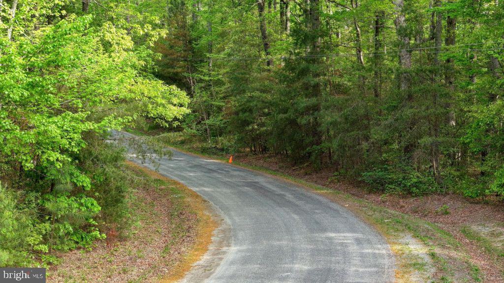 55 BUCKNER CREEK RD, MONTROSS, Virginia 22520, ,Land,For sale,55 BUCKNER CREEK RD,VAWE2009572 MLS # VAWE2009572