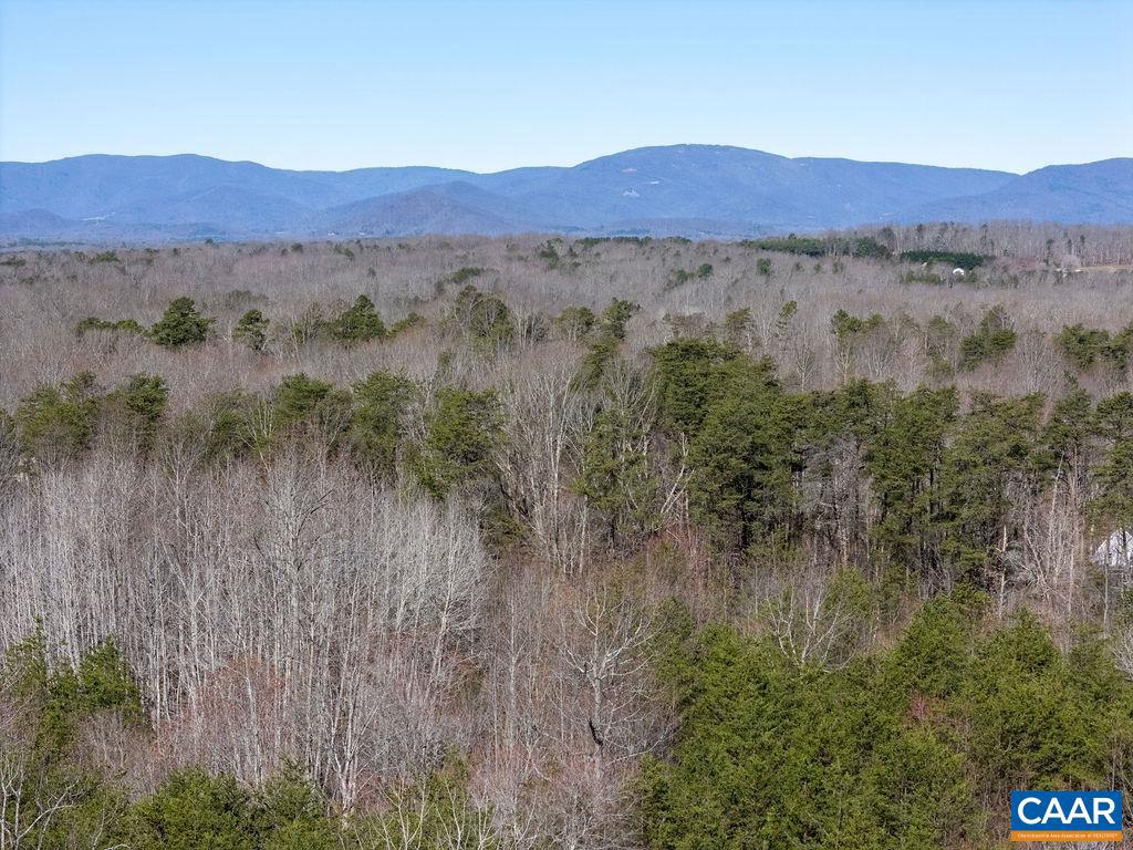 0 FRAYS MILL RD, RUCKERSVILLE, Virginia 22968, ,Farm,For sale,0 FRAYS MILL RD,667906 MLS # 667906