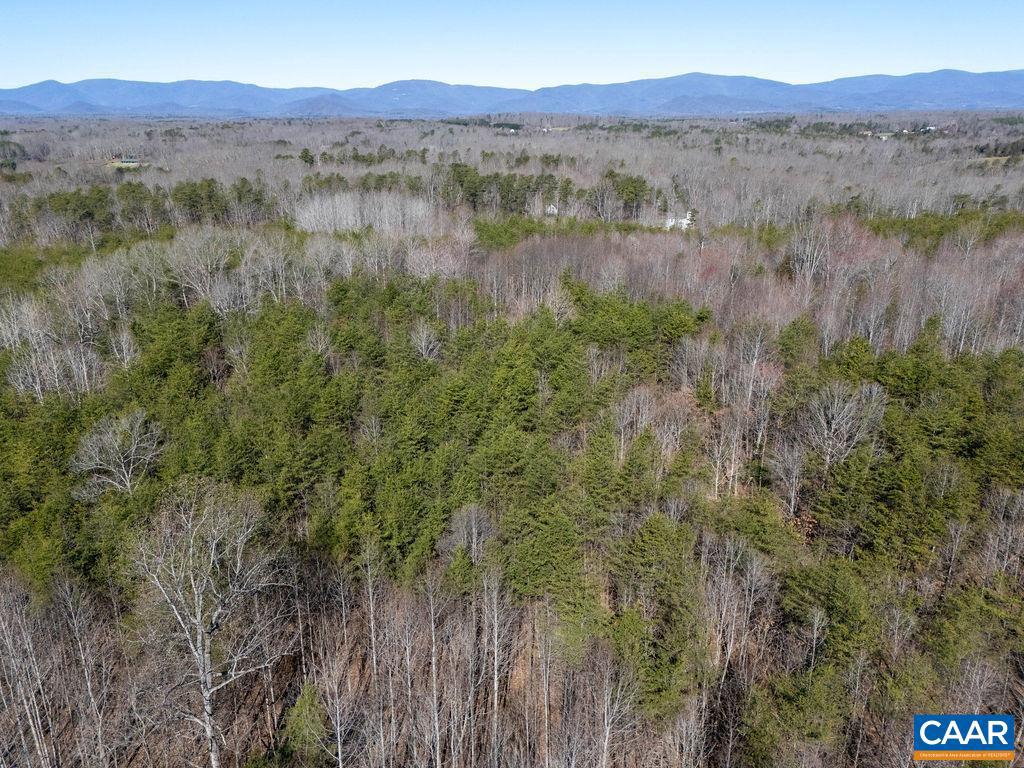 0 FRAYS MILL RD, RUCKERSVILLE, Virginia 22968, ,Farm,For sale,0 FRAYS MILL RD,667906 MLS # 667906