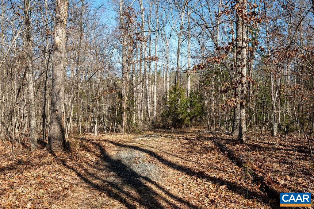0 FRAYS MILL RD, RUCKERSVILLE, Virginia 22968, ,Farm,For sale,0 FRAYS MILL RD,667906 MLS # 667906