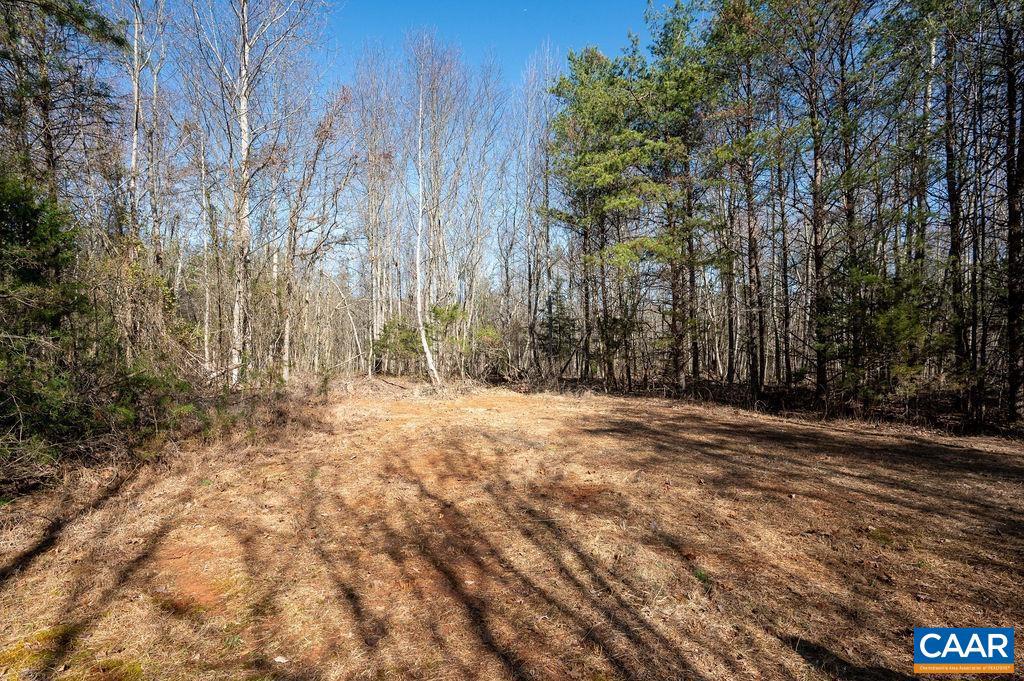 0 FRAYS MILL RD, RUCKERSVILLE, Virginia 22968, ,Farm,For sale,0 FRAYS MILL RD,667906 MLS # 667906