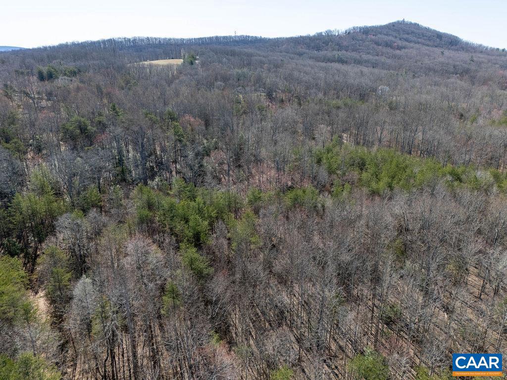0 FRAYS MILL RD, RUCKERSVILLE, Virginia 22968, ,Farm,For sale,0 FRAYS MILL RD,667906 MLS # 667906