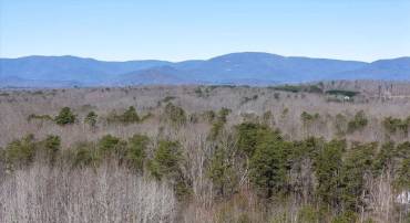 0 FRAYS MILL RD, RUCKERSVILLE, Virginia 22968, ,Farm,For sale,0 FRAYS MILL RD,667906 MLS # 667906