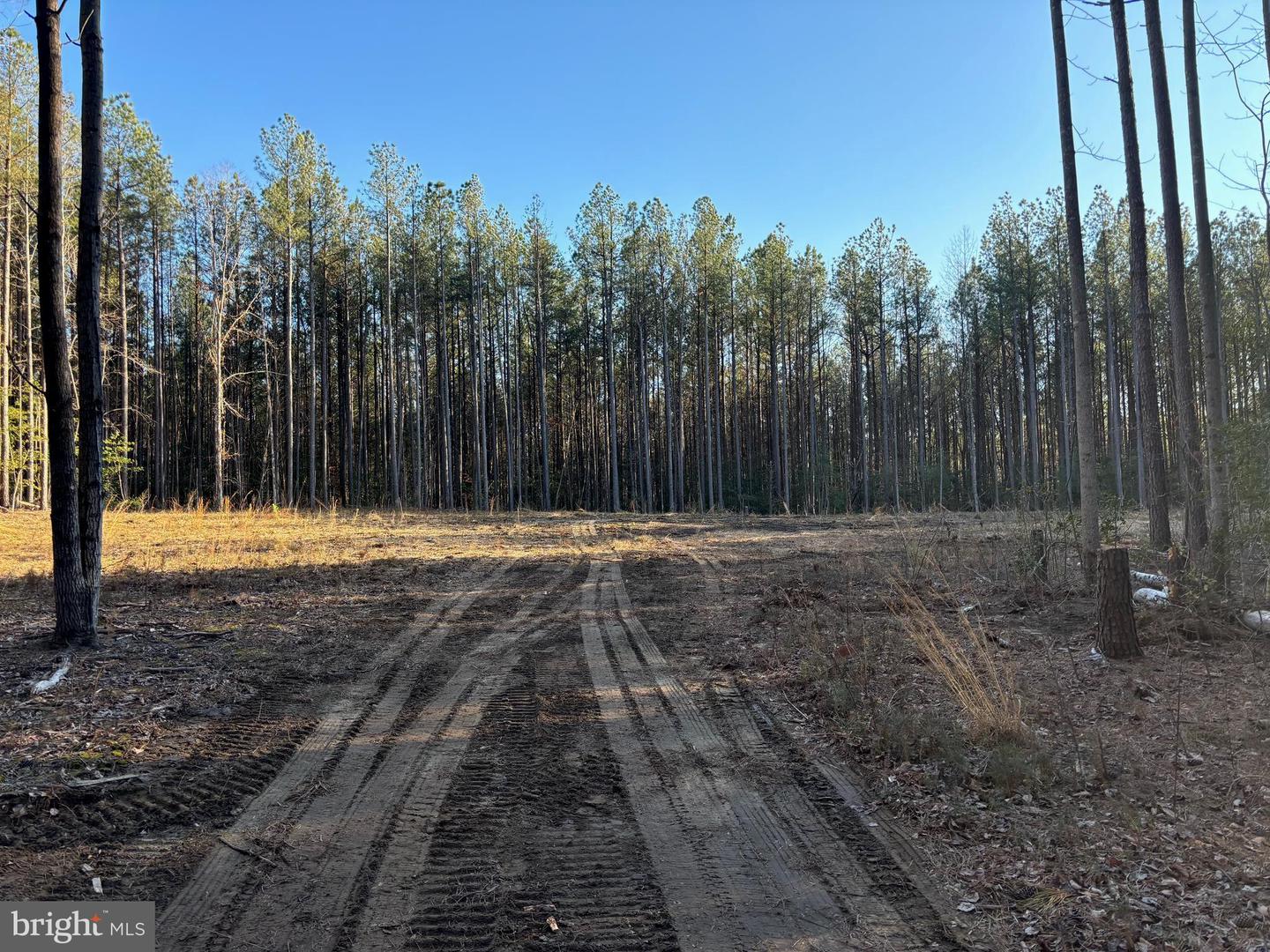 2 CLARKES STORE RD, CARET, Virginia 22436, ,Land,For sale,2 CLARKES STORE RD,VAES2002004 MLS # VAES2002004