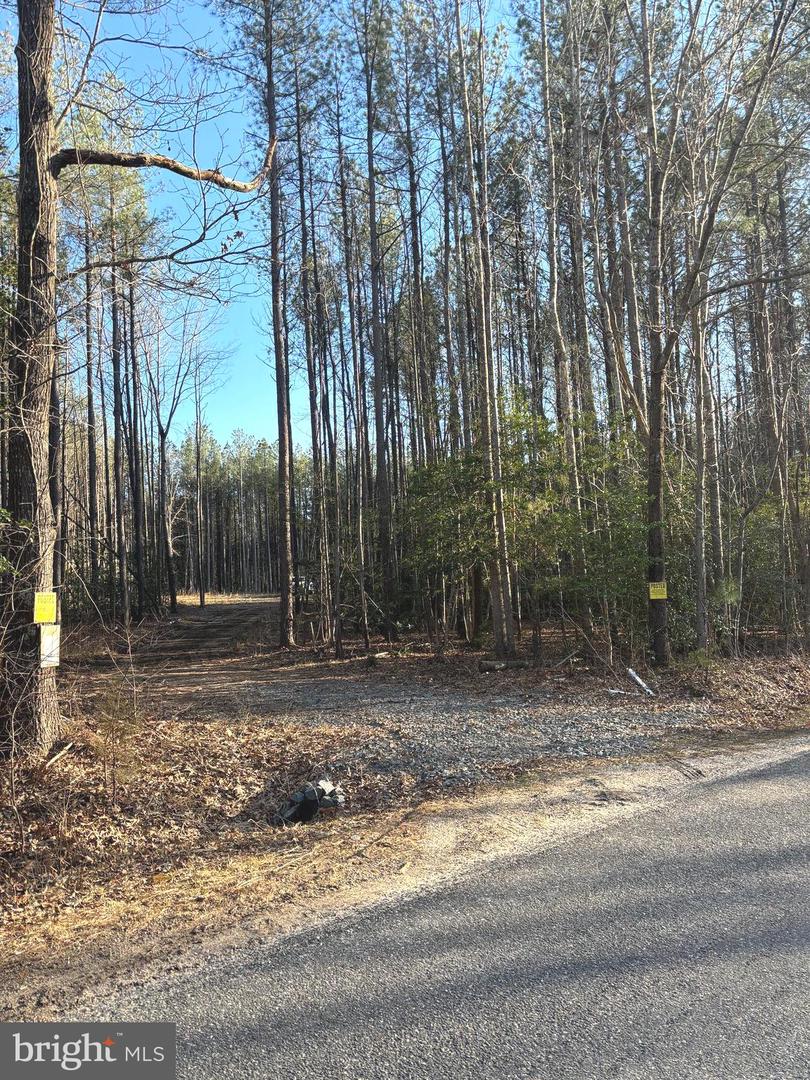 2 CLARKES STORE RD, CARET, Virginia 22436, ,Land,For sale,2 CLARKES STORE RD,VAES2002004 MLS # VAES2002004