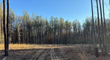 2 CLARKES STORE RD, CARET, Virginia 22436, ,Land,For sale,2 CLARKES STORE RD,VAES2002004 MLS # VAES2002004