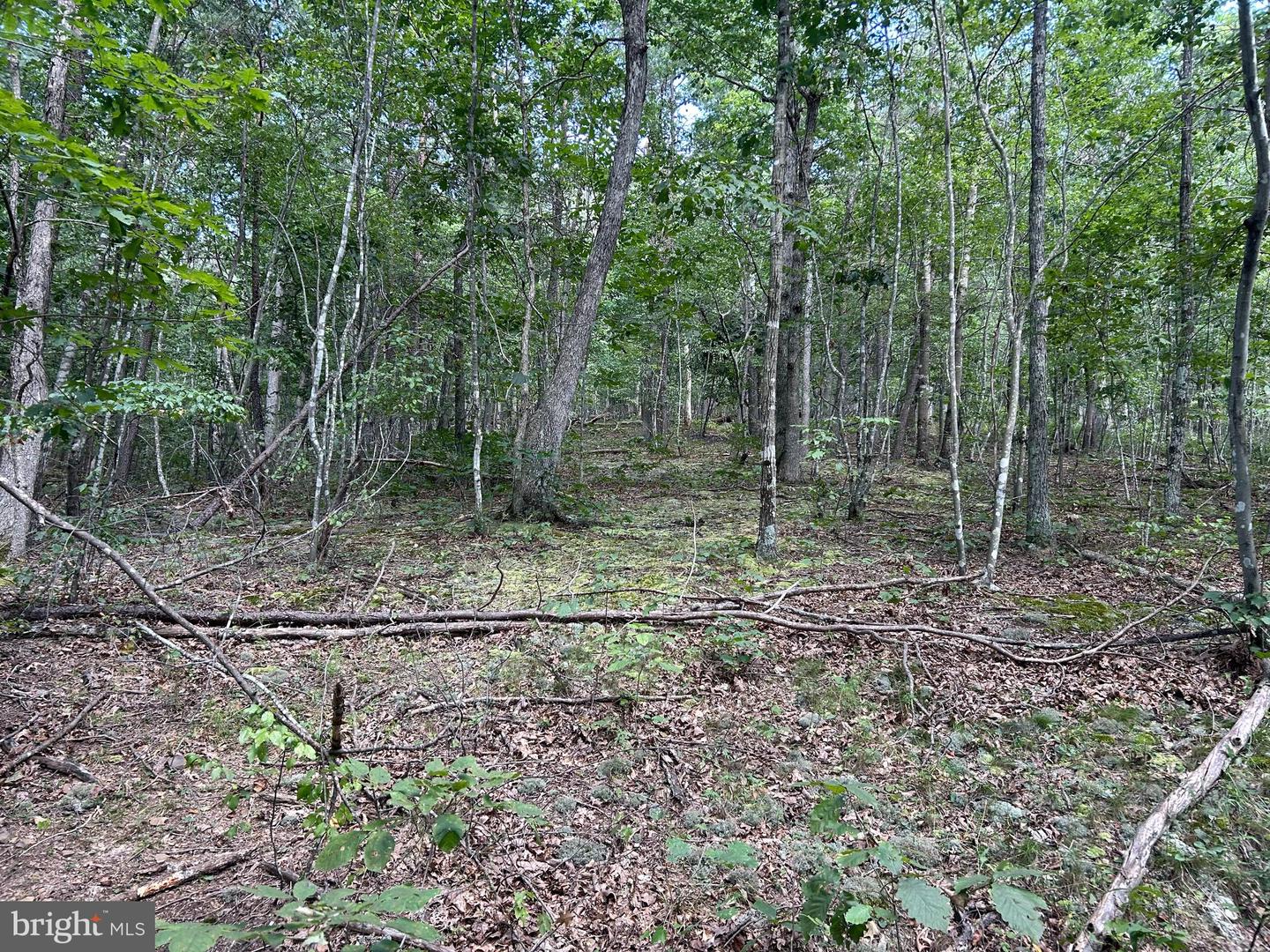 GUN BARREL LANE, WINCHESTER, Virginia 22603, ,Land,For sale,GUN BARREL LANE,VAFV2036132 MLS # VAFV2036132