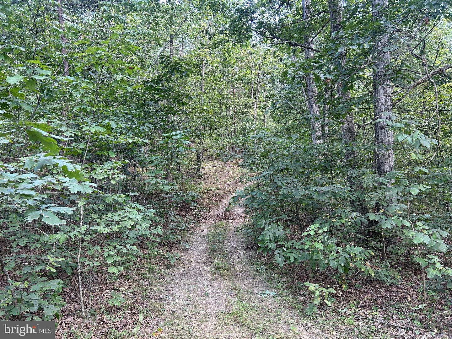GUN BARREL LANE, WINCHESTER, Virginia 22603, ,Land,For sale,GUN BARREL LANE,VAFV2036132 MLS # VAFV2036132