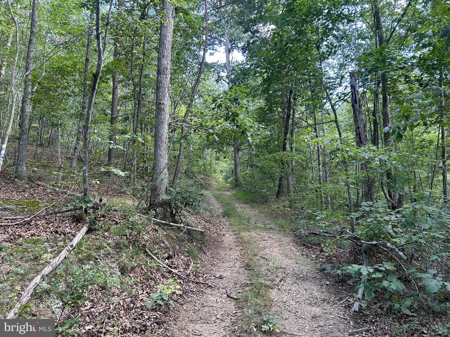 GUN BARREL LANE, WINCHESTER, Virginia 22603, ,Land,For sale,GUN BARREL LANE,VAFV2036132 MLS # VAFV2036132