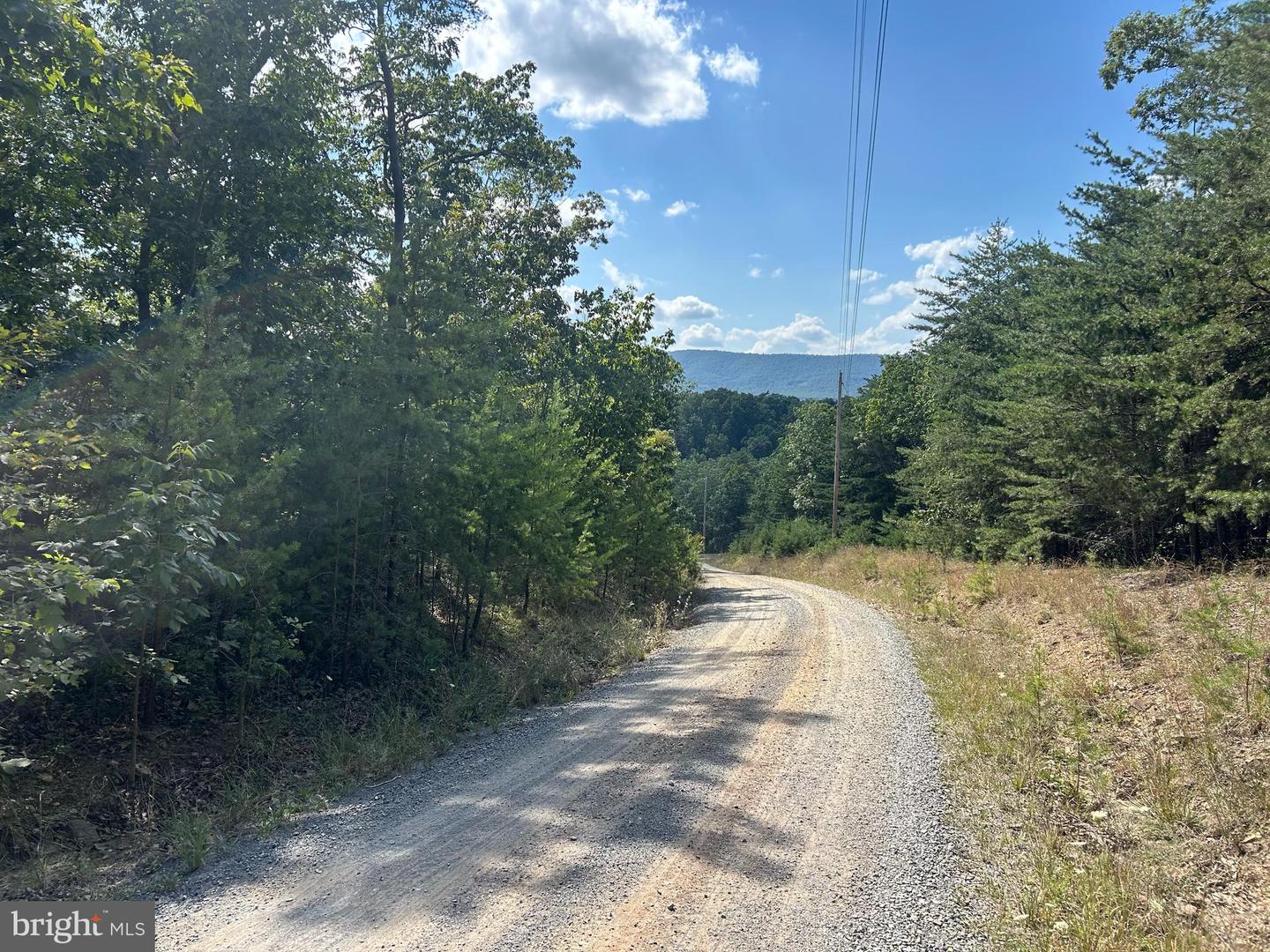 GUN BARREL LANE, WINCHESTER, Virginia 22603, ,Land,For sale,GUN BARREL LANE,VAFV2036132 MLS # VAFV2036132