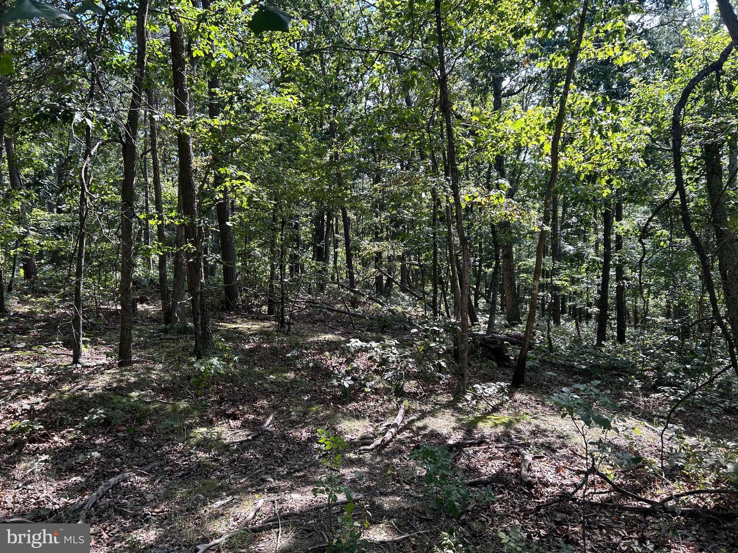 GUN BARREL LANE, WINCHESTER, Virginia 22603, ,Land,For sale,GUN BARREL LANE,VAFV2036134 MLS # VAFV2036134