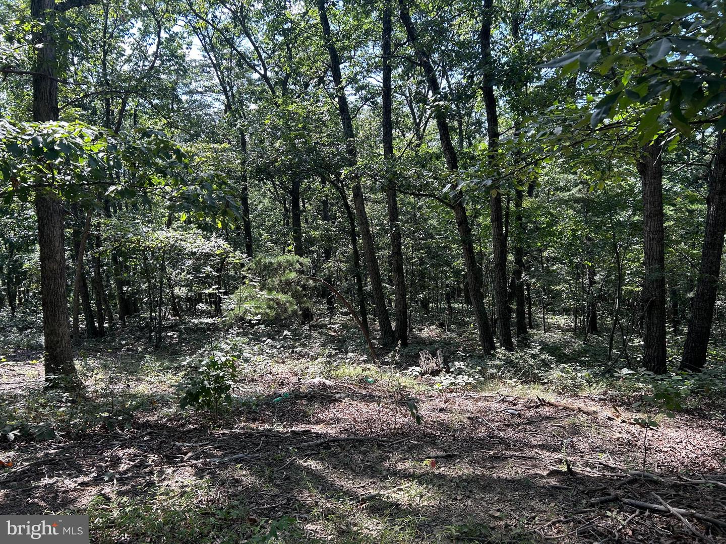 GUN BARREL LANE, WINCHESTER, Virginia 22603, ,Land,For sale,GUN BARREL LANE,VAFV2036134 MLS # VAFV2036134