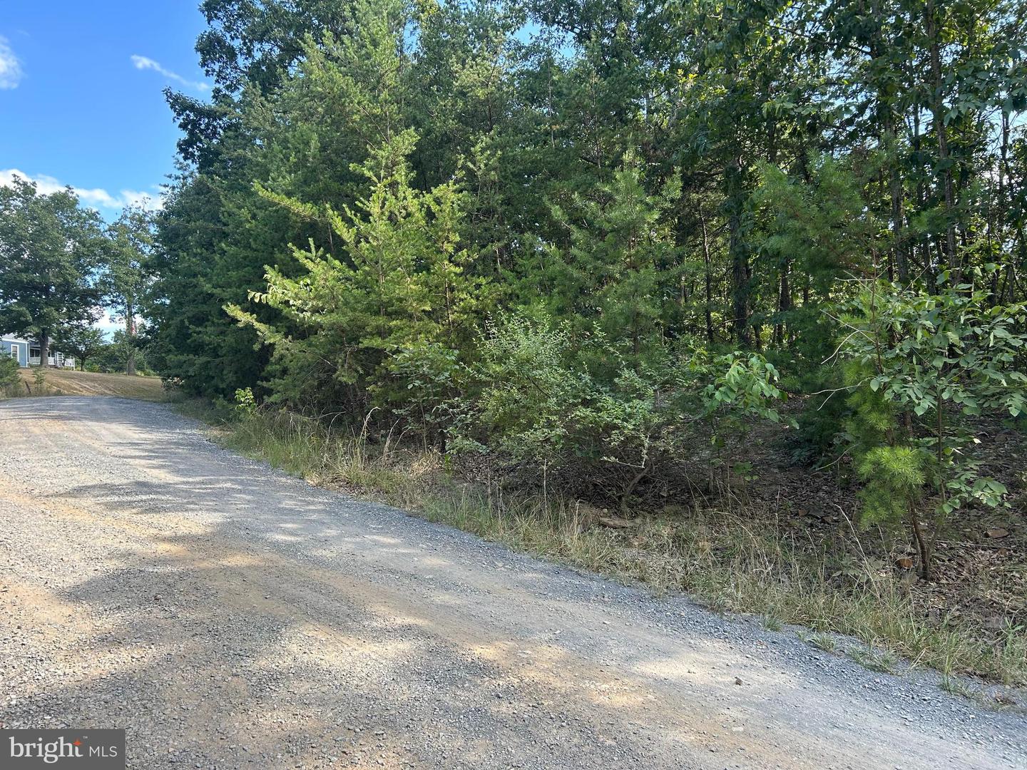 GUN BARREL LANE, WINCHESTER, Virginia 22603, ,Land,For sale,GUN BARREL LANE,VAFV2036134 MLS # VAFV2036134