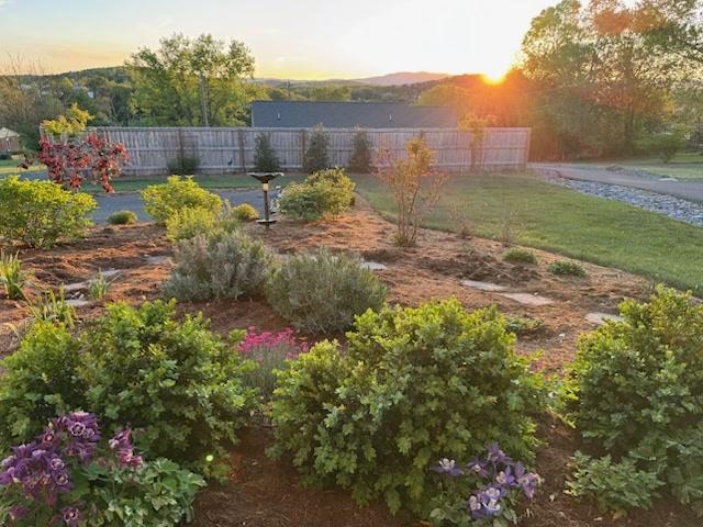 907 POWHATAN ST, STAUNTON, Virginia 24401, 3 Bedrooms Bedrooms, ,2 BathroomsBathrooms,Residential,907 POWHATAN ST,667892 MLS # 667892