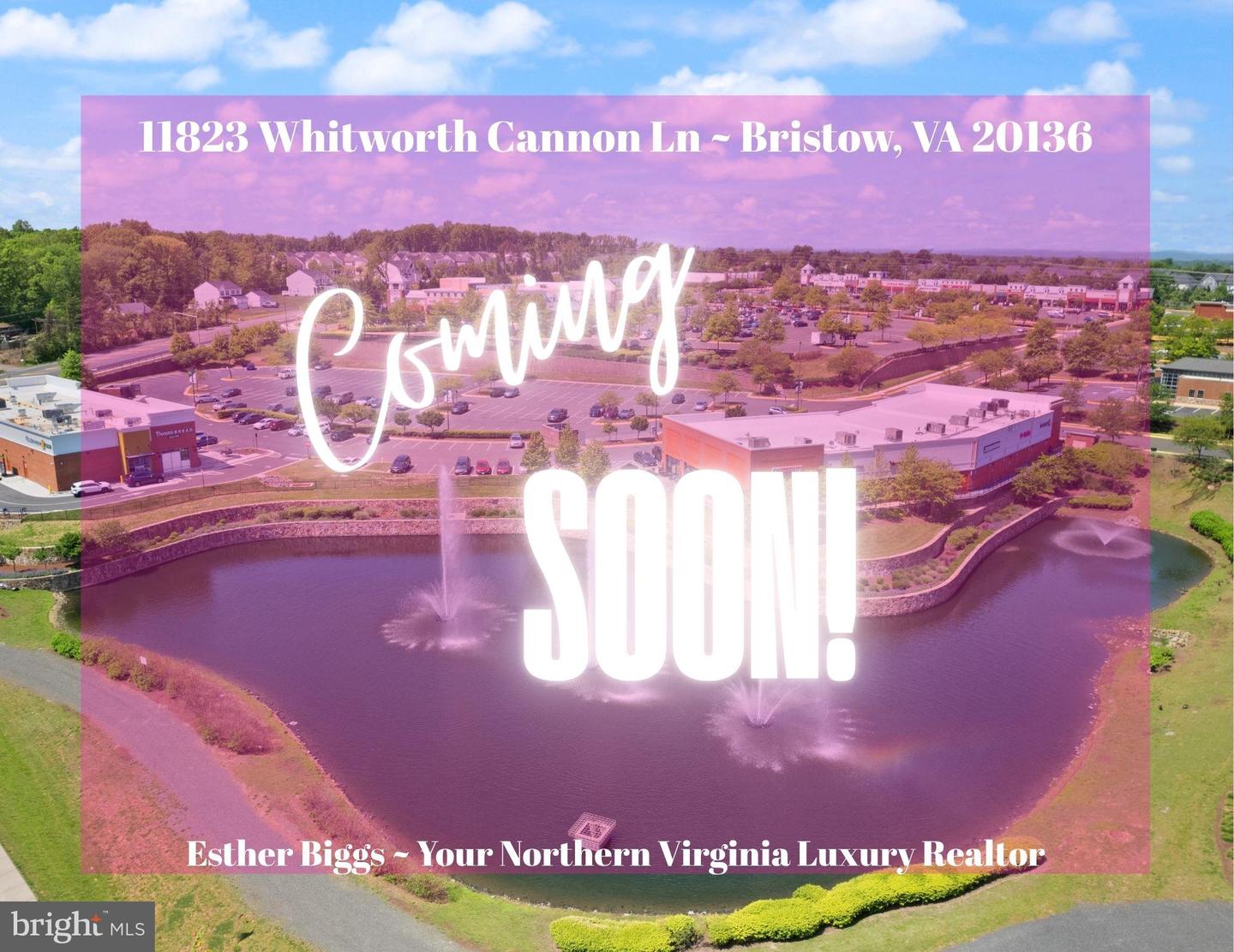 11823 WHITWORTH CANNON LN, BRISTOW, Virginia 20136, 4 Bedrooms Bedrooms, ,3 BathroomsBathrooms,Residential,For sale,11823 WHITWORTH CANNON LN,VAPW2100386 MLS # VAPW2100386
