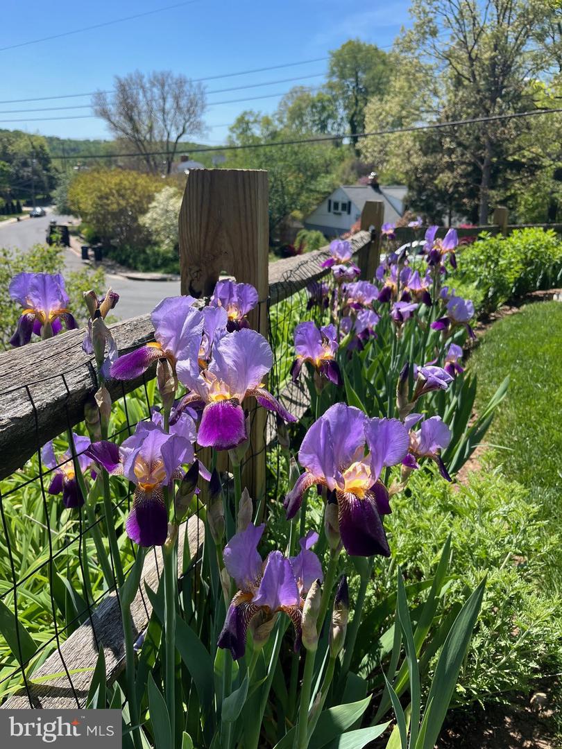 116 N EARLEY ST, ALEXANDRIA, Virginia 22304, 4 Bedrooms Bedrooms, 14 Rooms Rooms,3 BathroomsBathrooms,Residential,For sale,116 N EARLEY ST,VAAX2048096 MLS # VAAX2048096