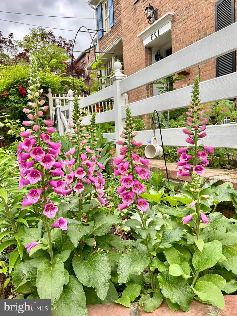 621 S SAINT ASAPH ST, ALEXANDRIA, Virginia 22314, 4 Bedrooms Bedrooms, ,2 BathroomsBathrooms,Residential,For sale,621 S SAINT ASAPH ST,VAAX2048238 MLS # VAAX2048238