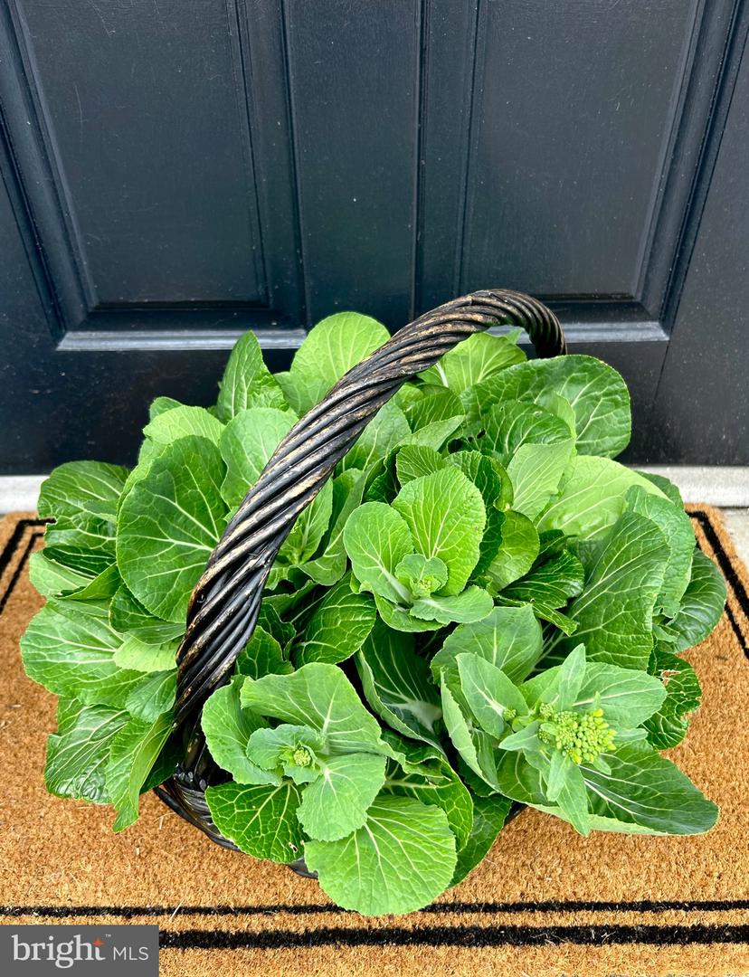 621 S SAINT ASAPH ST, ALEXANDRIA, Virginia 22314, 4 Bedrooms Bedrooms, ,2 BathroomsBathrooms,Residential,For sale,621 S SAINT ASAPH ST,VAAX2048238 MLS # VAAX2048238