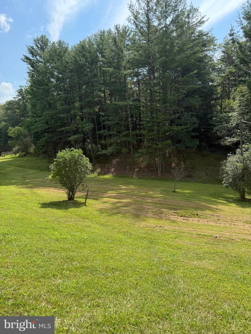 4081 WOLF GAP RD, EDINBURG, Virginia 22824, 3 Bedrooms Bedrooms, ,1 BathroomBathrooms,Residential,For sale,4081 WOLF GAP RD,VASH2012184 MLS # VASH2012184