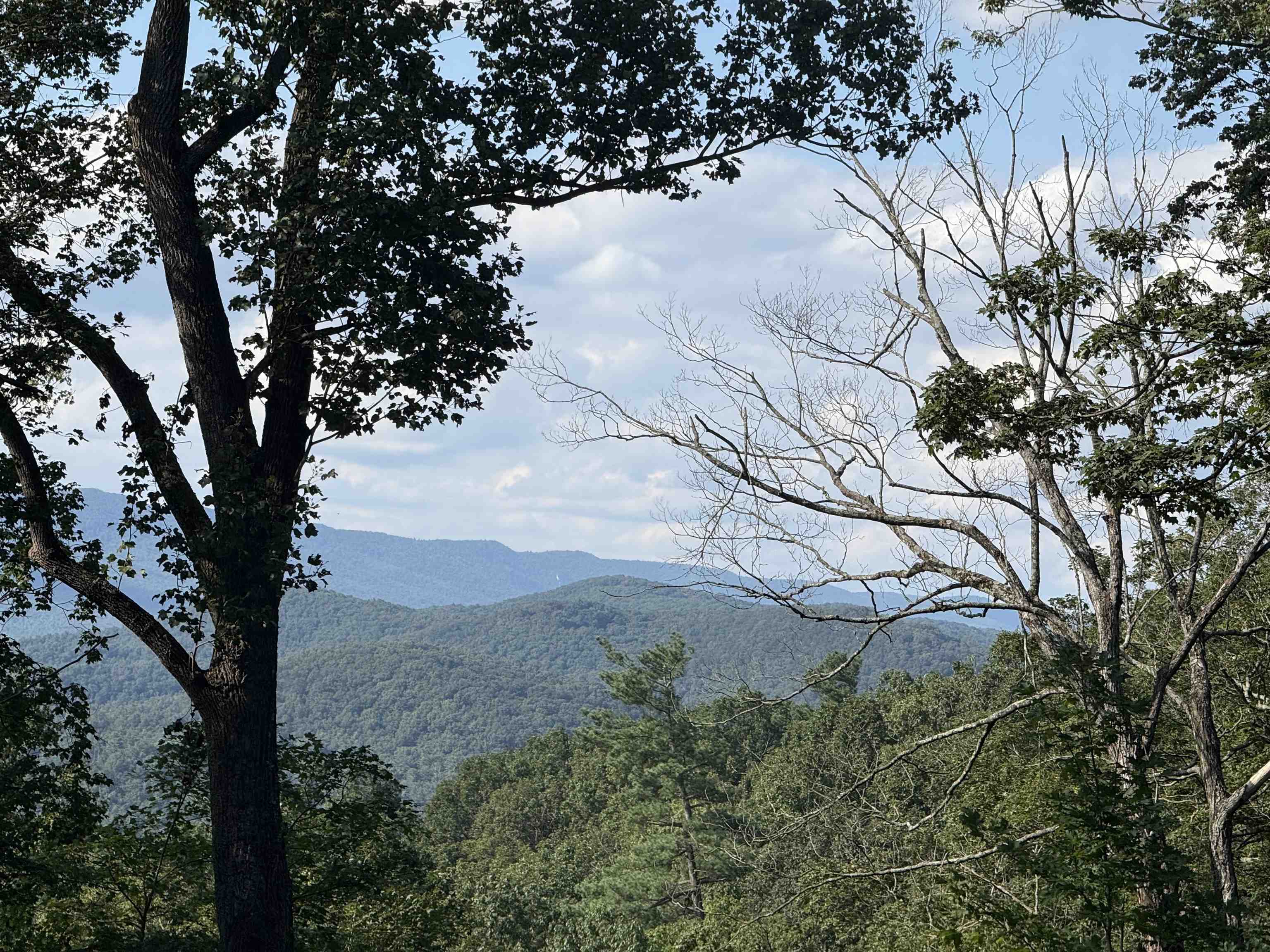 198 acres RUNIONS CREEK RD, BROADWAY, Virginia 22815, ,Farm,198 acres RUNIONS CREEK RD,667929 MLS # 667929