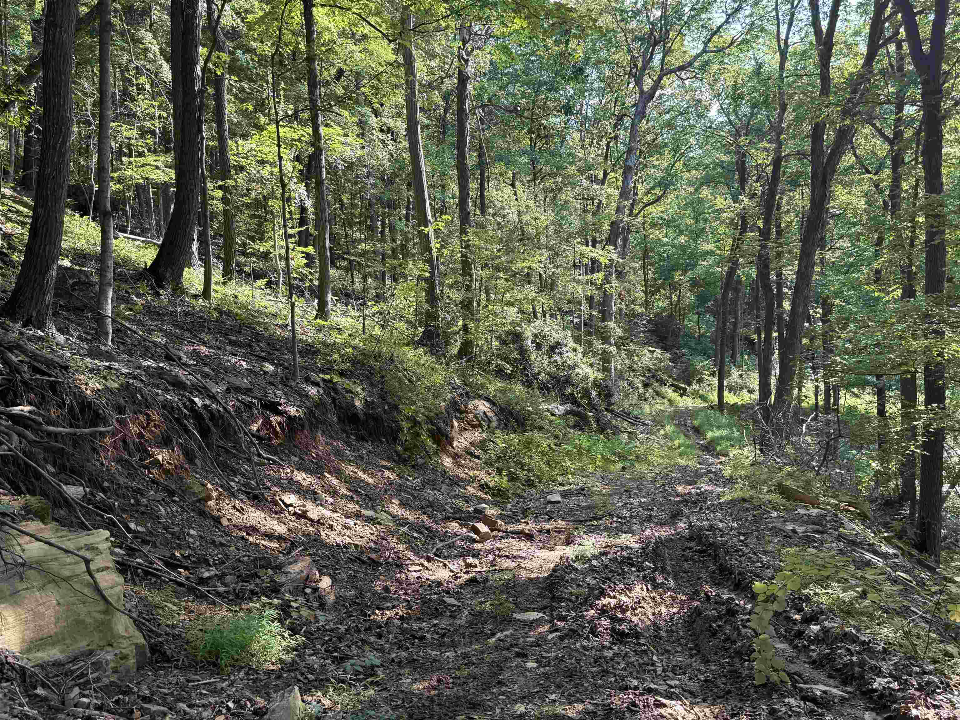 198 acres RUNIONS CREEK RD, BROADWAY, Virginia 22815, ,Farm,198 acres RUNIONS CREEK RD,667929 MLS # 667929