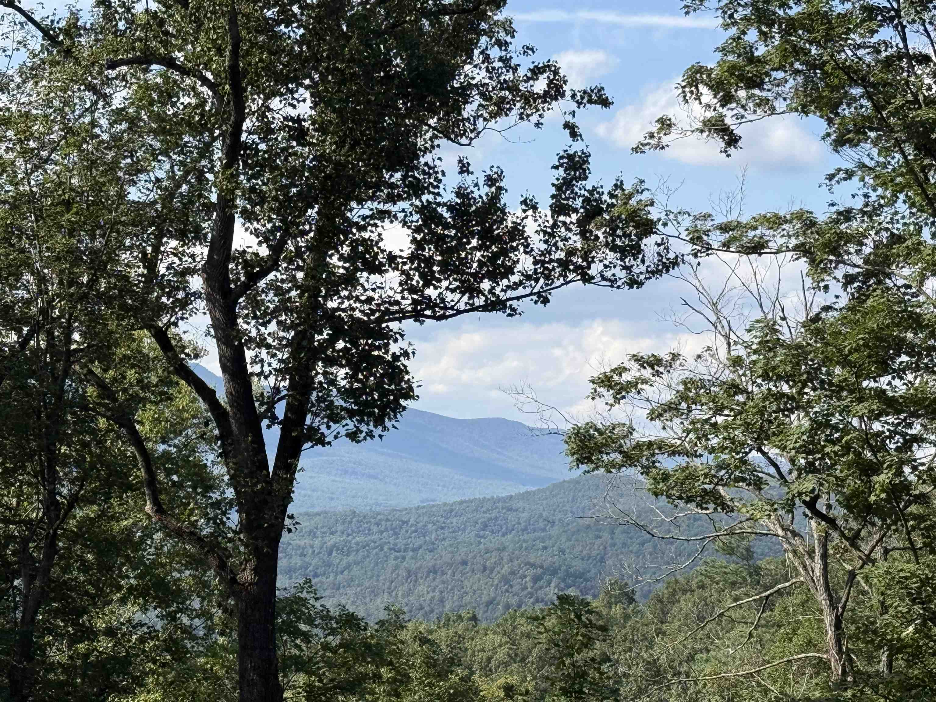 198 acres RUNIONS CREEK RD, BROADWAY, Virginia 22815, ,Farm,198 acres RUNIONS CREEK RD,667929 MLS # 667929