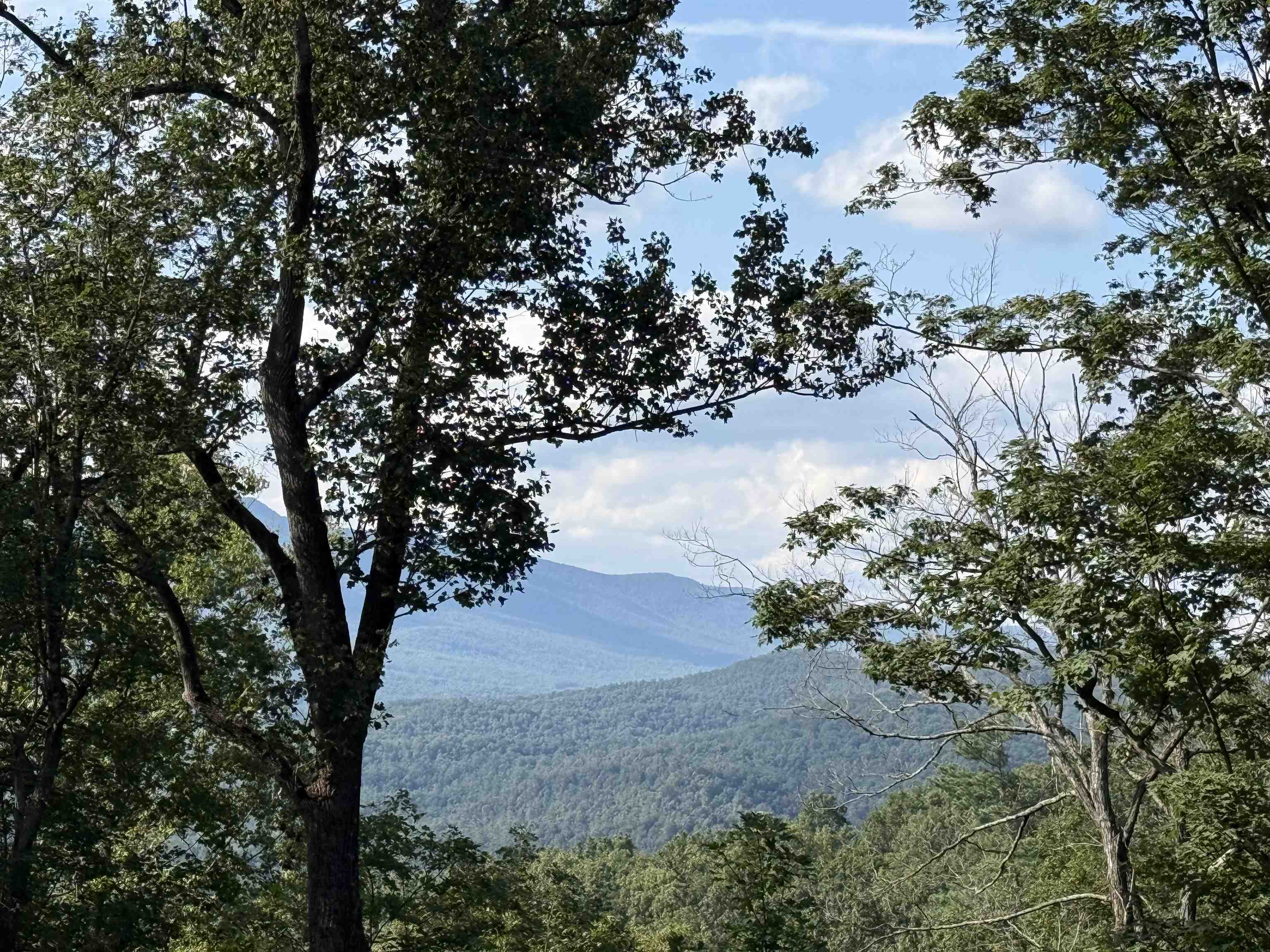 198 acres RUNIONS CREEK RD, BROADWAY, Virginia 22815, ,Farm,198 acres RUNIONS CREEK RD,667929 MLS # 667929