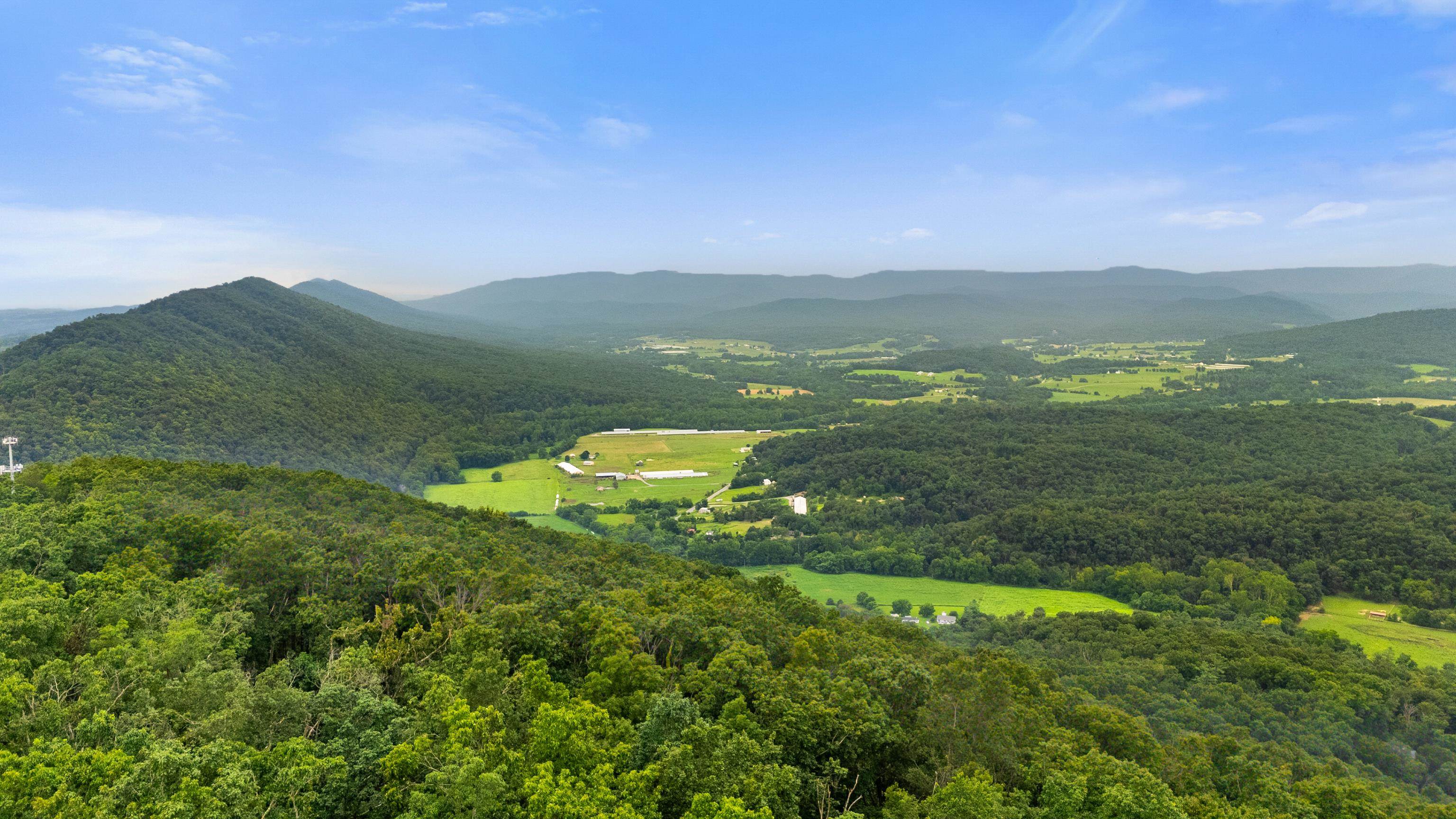 198 acres RUNIONS CREEK RD, BROADWAY, Virginia 22815, ,Farm,198 acres RUNIONS CREEK RD,667929 MLS # 667929