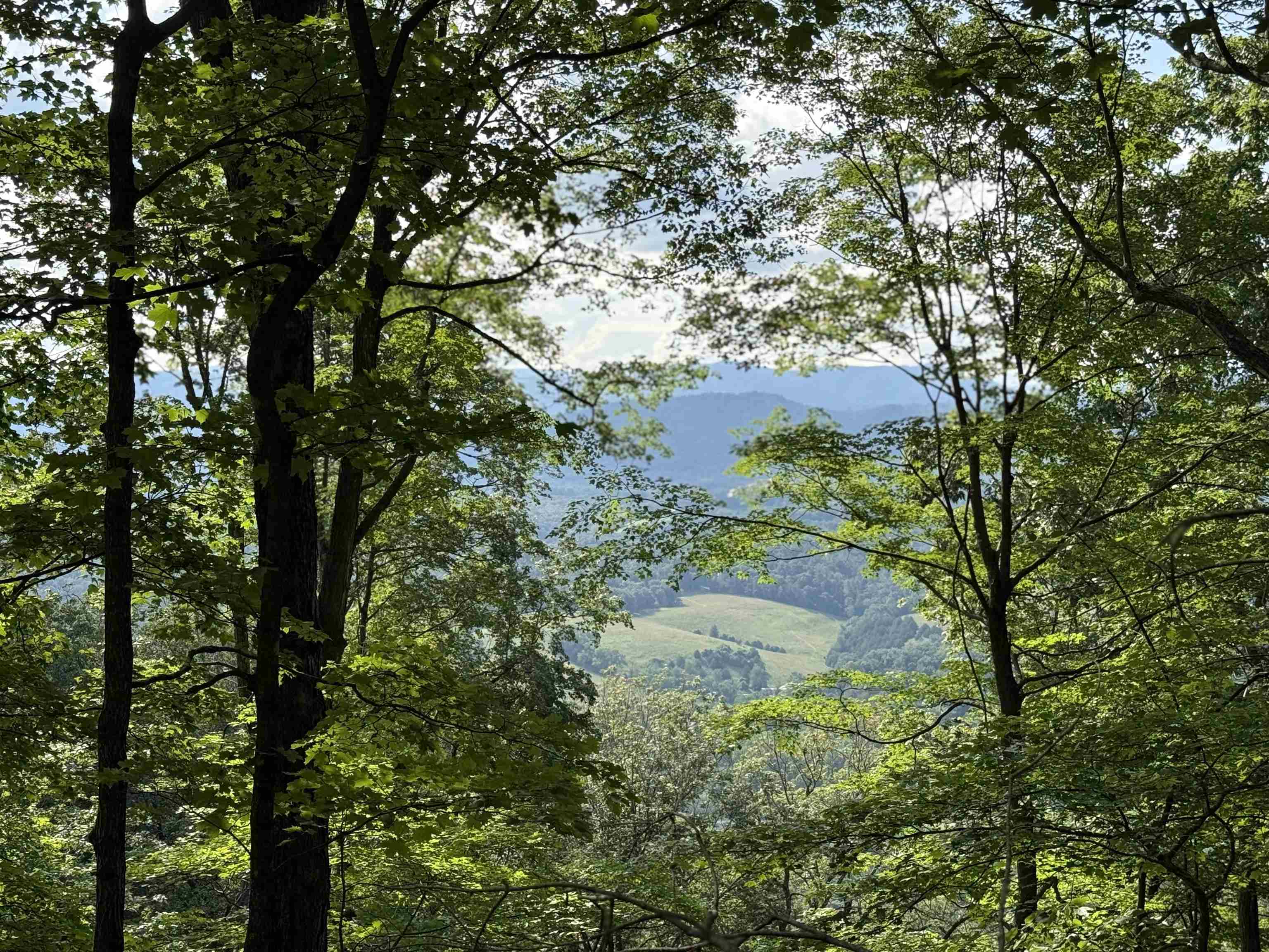 198 acres RUNIONS CREEK RD, BROADWAY, Virginia 22815, ,Farm,198 acres RUNIONS CREEK RD,667929 MLS # 667929