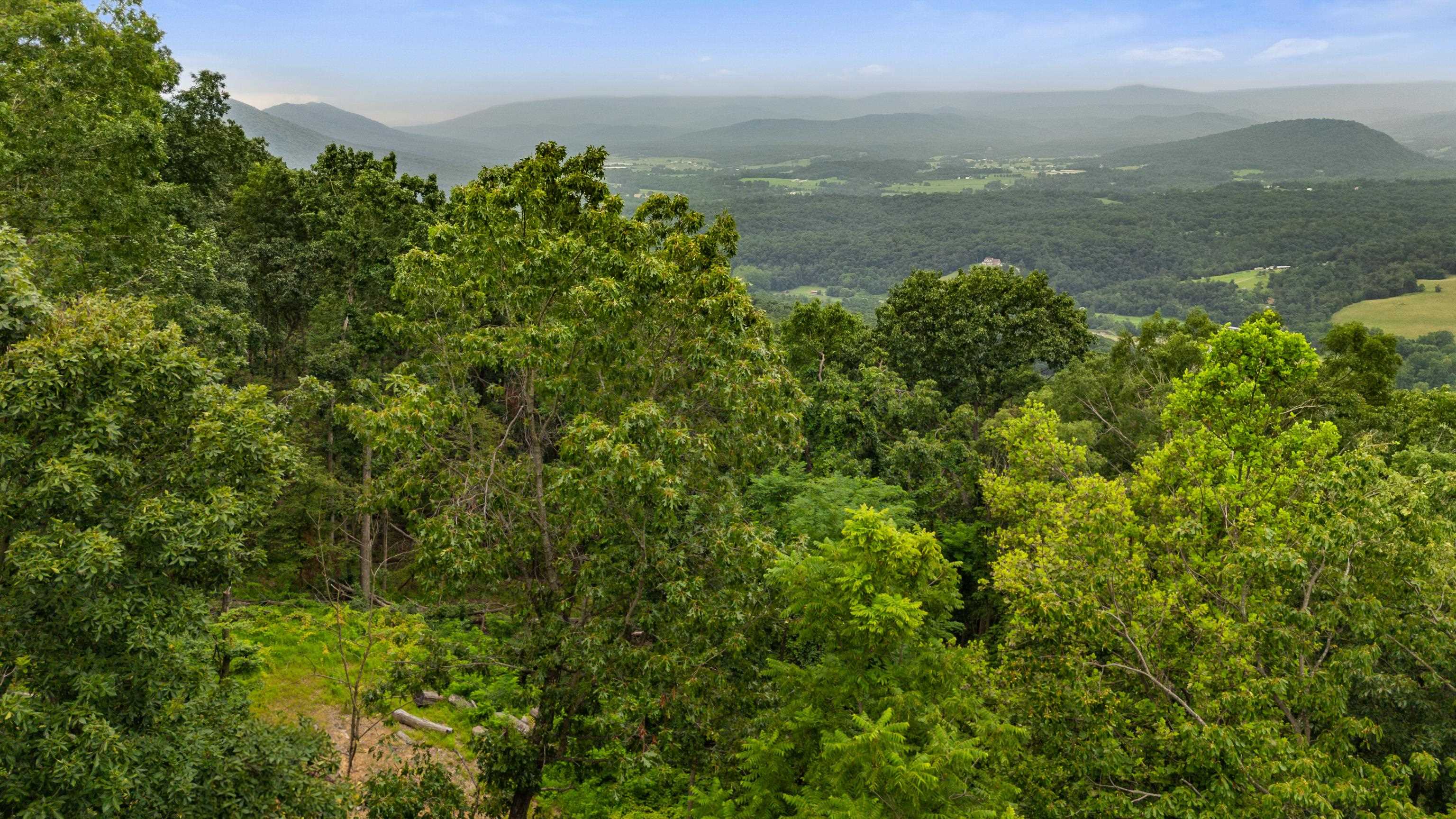 198 acres RUNIONS CREEK RD, BROADWAY, Virginia 22815, ,Farm,198 acres RUNIONS CREEK RD,667929 MLS # 667929