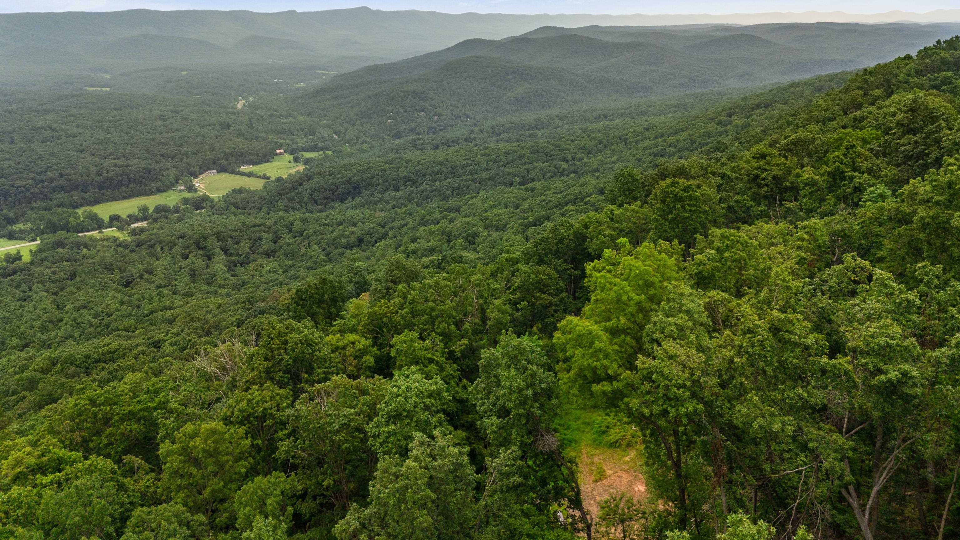 198 acres RUNIONS CREEK RD, BROADWAY, Virginia 22815, ,Farm,198 acres RUNIONS CREEK RD,667929 MLS # 667929