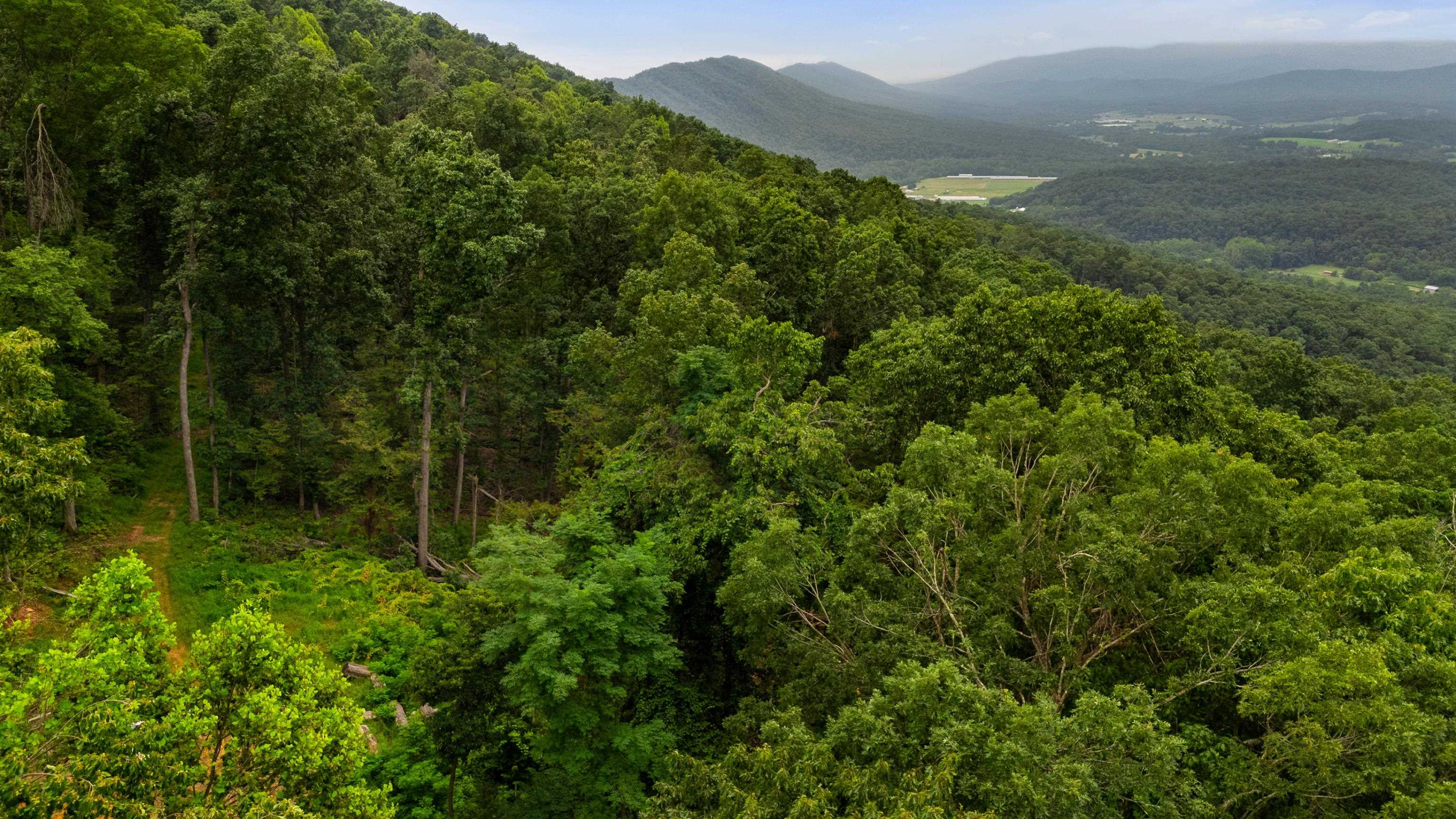 198 acres RUNIONS CREEK RD, BROADWAY, Virginia 22815, ,Farm,198 acres RUNIONS CREEK RD,667929 MLS # 667929