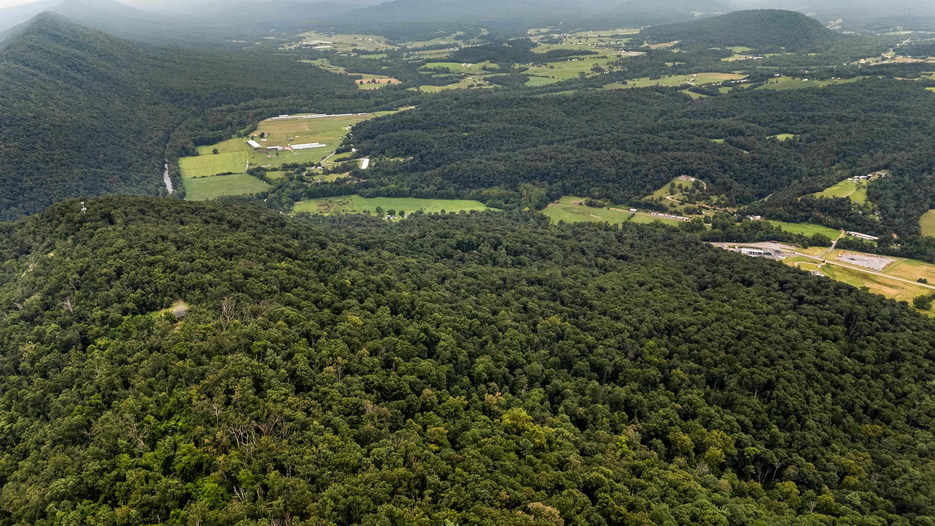198 acres RUNIONS CREEK RD, BROADWAY, Virginia 22815, ,Farm,198 acres RUNIONS CREEK RD,667929 MLS # 667929