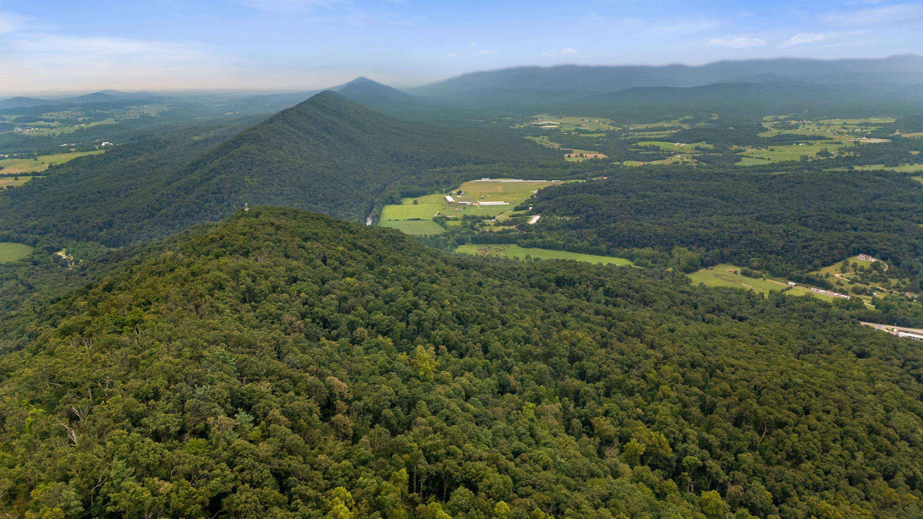 198 acres RUNIONS CREEK RD, BROADWAY, Virginia 22815, ,Farm,198 acres RUNIONS CREEK RD,667929 MLS # 667929
