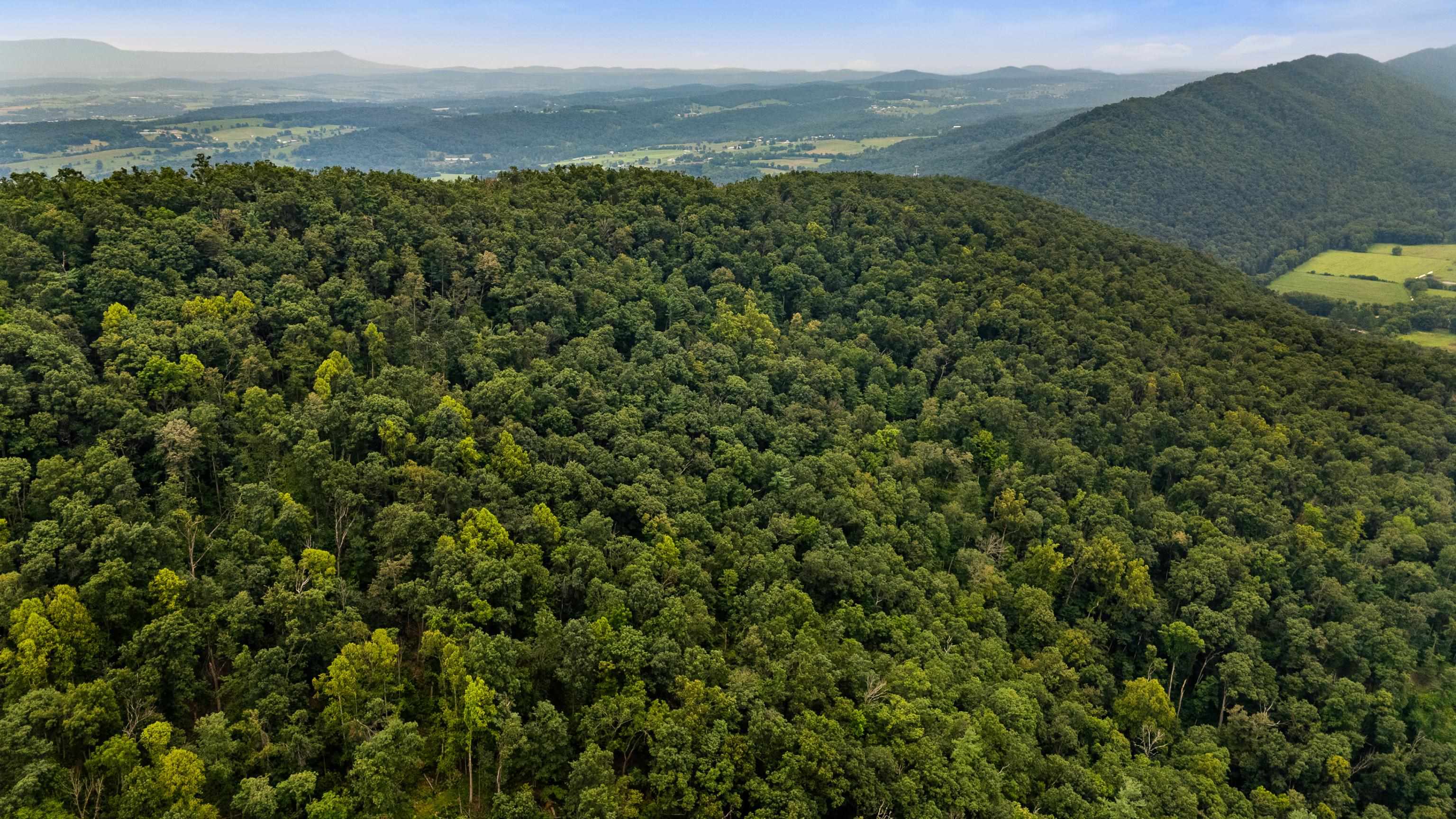 198 acres RUNIONS CREEK RD, BROADWAY, Virginia 22815, ,Farm,198 acres RUNIONS CREEK RD,667929 MLS # 667929