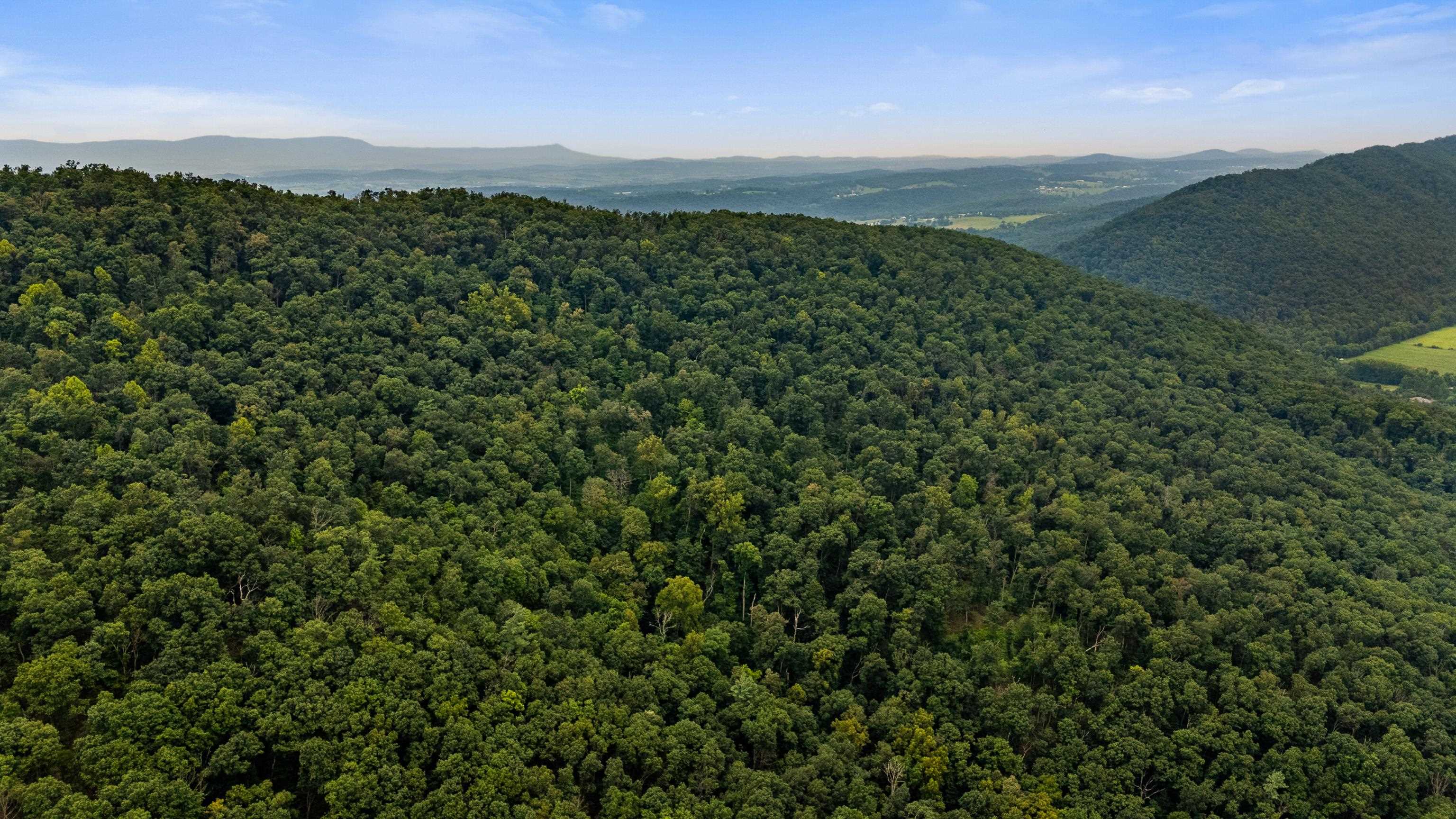 198 acres RUNIONS CREEK RD, BROADWAY, Virginia 22815, ,Farm,198 acres RUNIONS CREEK RD,667929 MLS # 667929