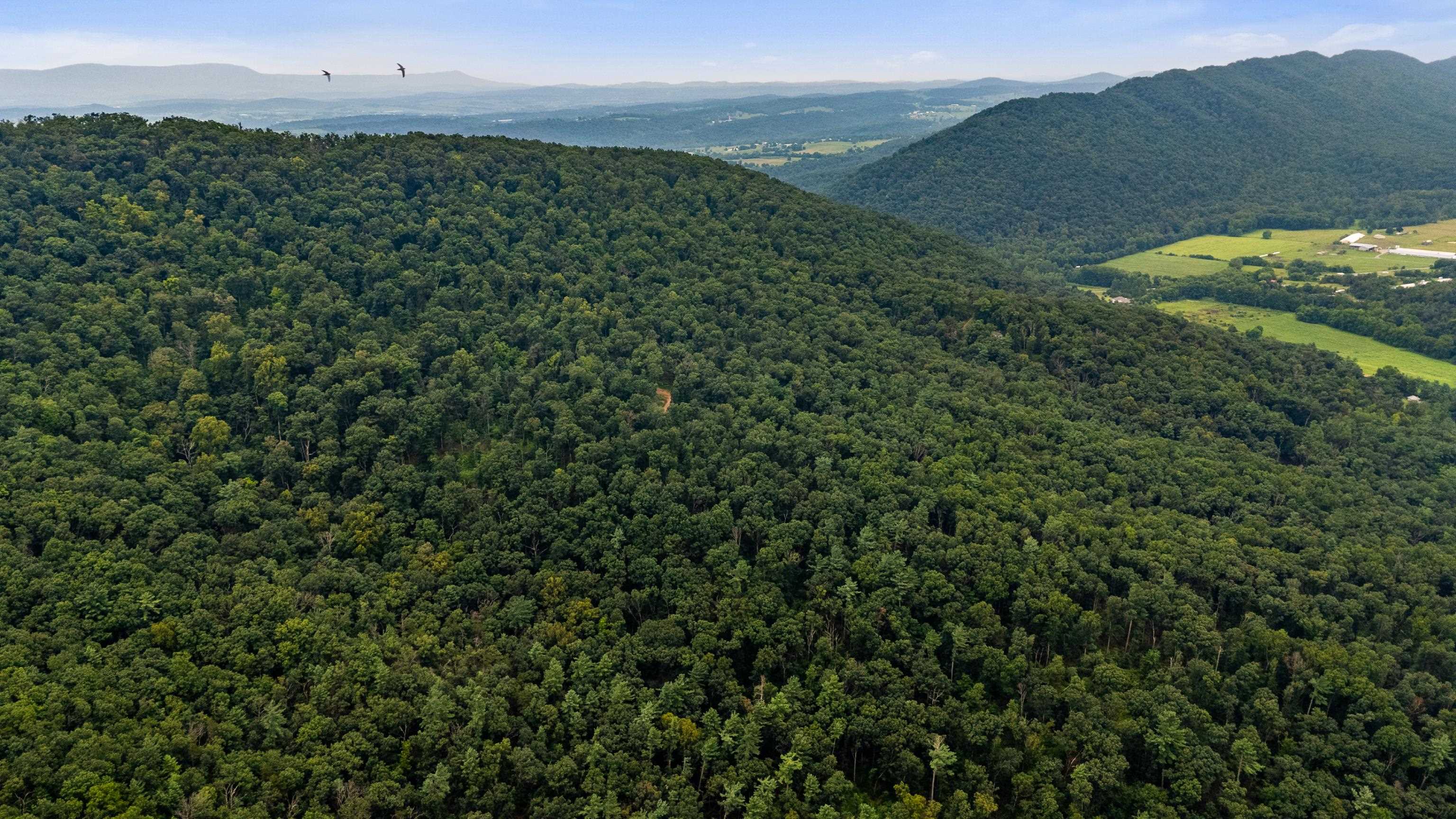 198 acres RUNIONS CREEK RD, BROADWAY, Virginia 22815, ,Farm,198 acres RUNIONS CREEK RD,667929 MLS # 667929