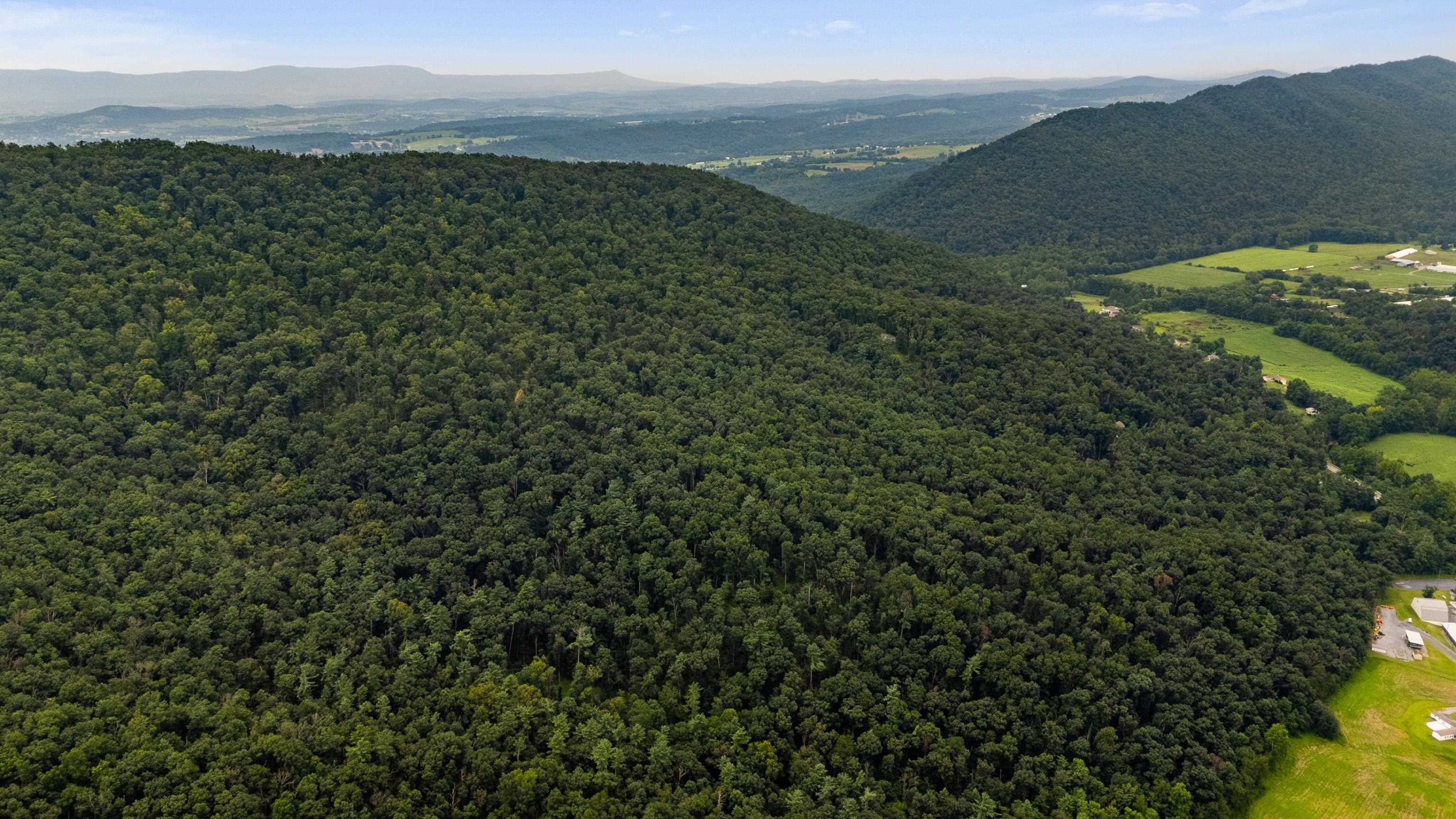 198 acres RUNIONS CREEK RD, BROADWAY, Virginia 22815, ,Farm,198 acres RUNIONS CREEK RD,667929 MLS # 667929