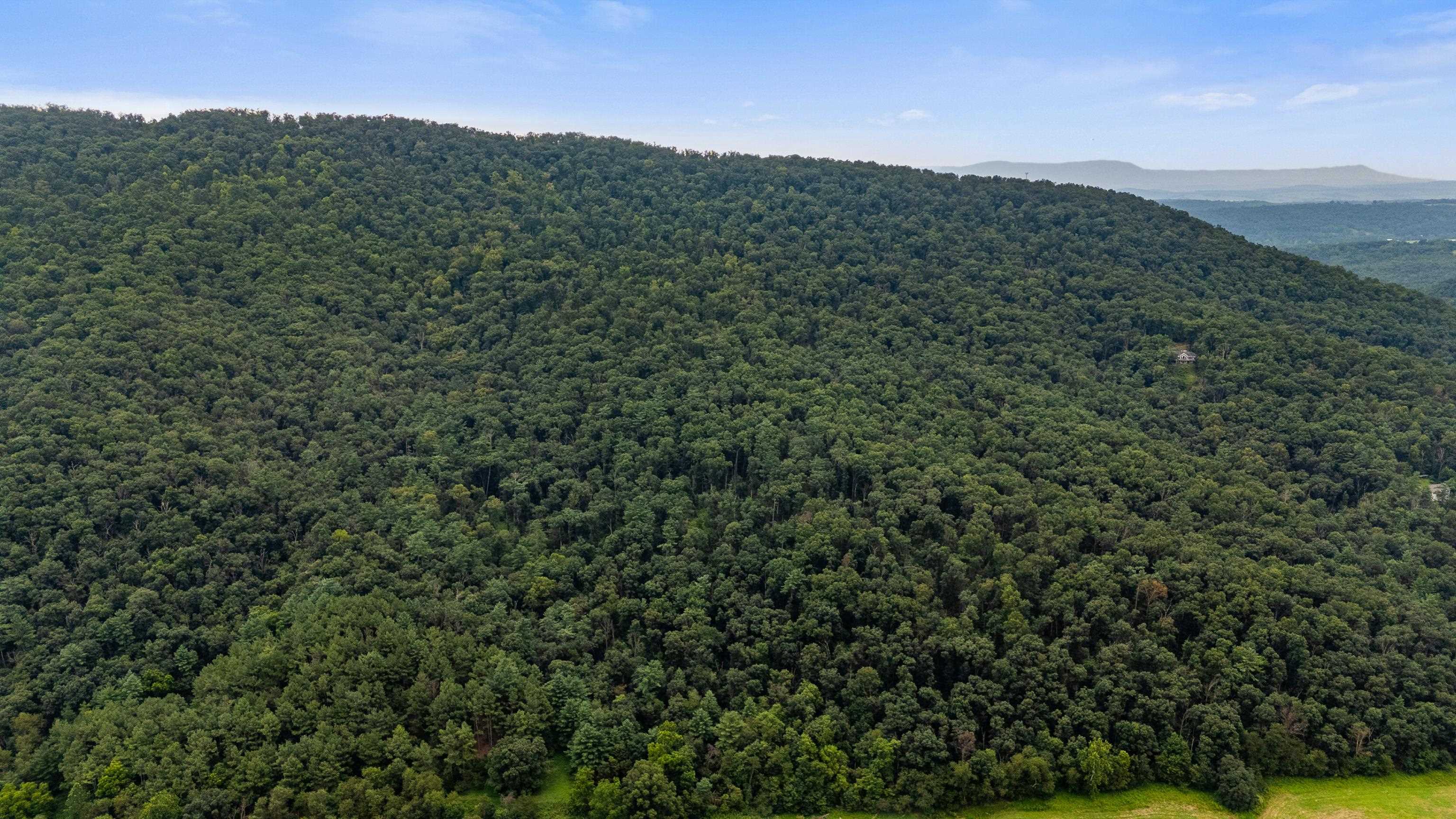 198 acres RUNIONS CREEK RD, BROADWAY, Virginia 22815, ,Farm,198 acres RUNIONS CREEK RD,667929 MLS # 667929