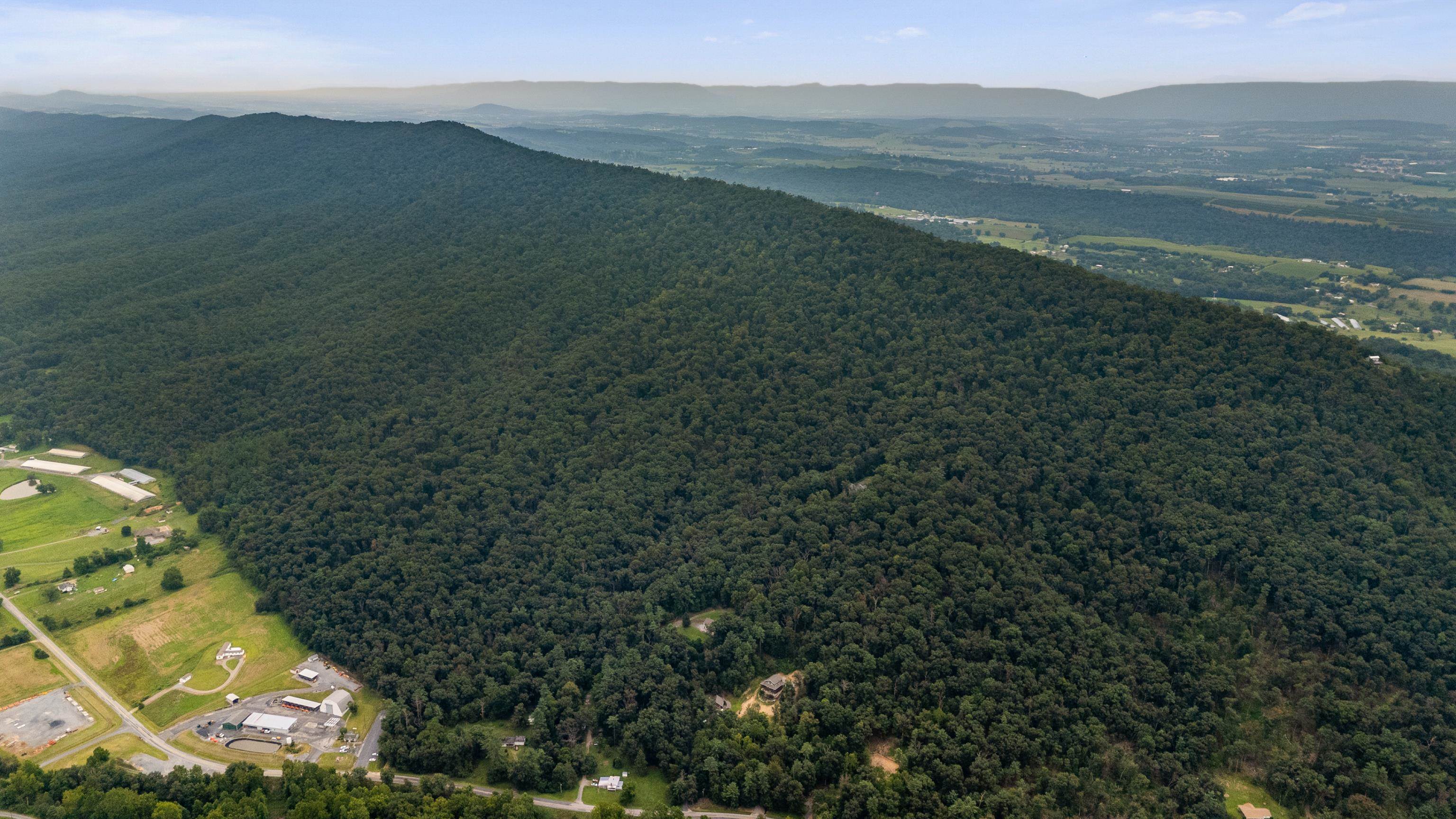 198 acres RUNIONS CREEK RD, BROADWAY, Virginia 22815, ,Farm,198 acres RUNIONS CREEK RD,667929 MLS # 667929