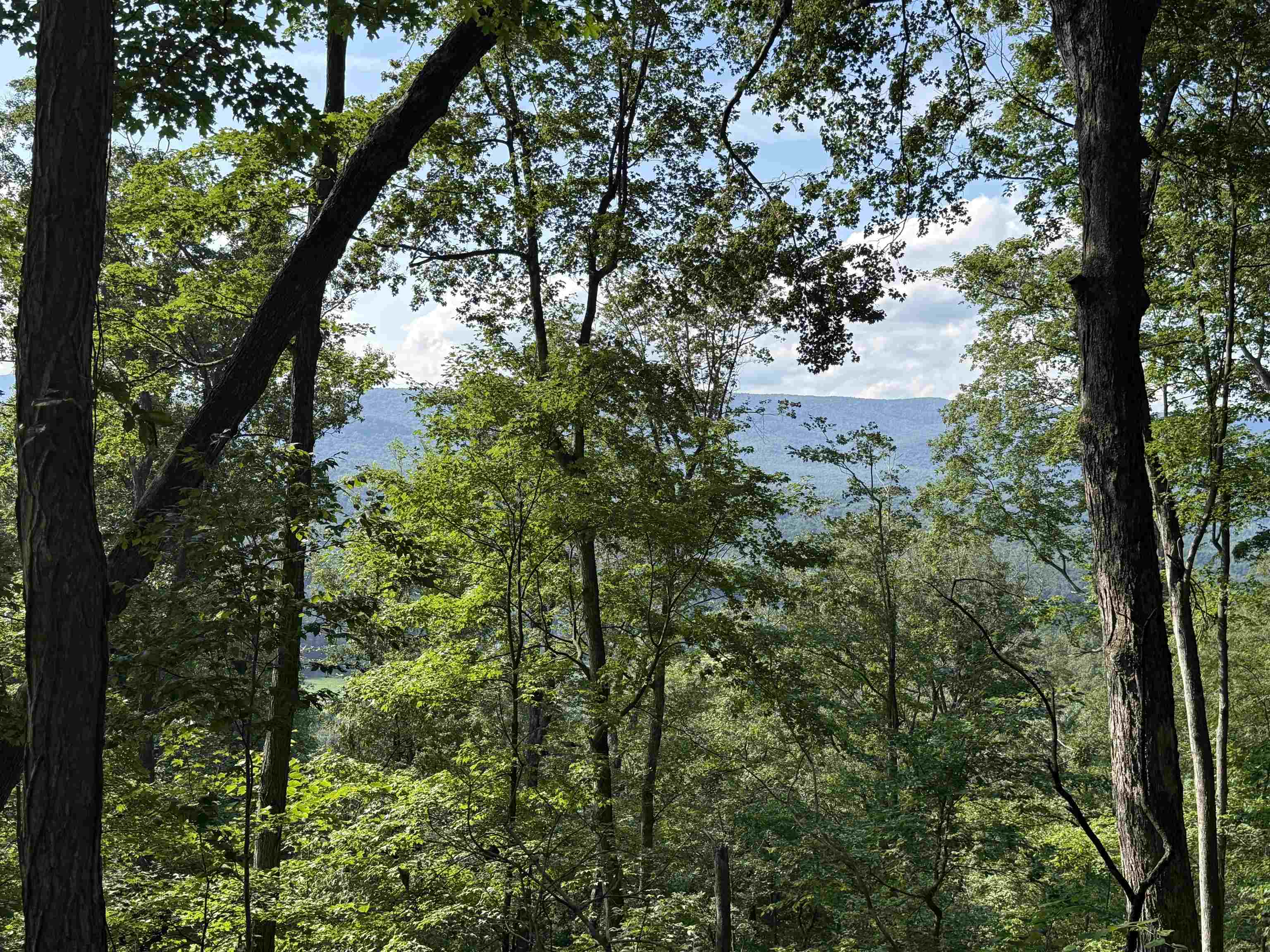 198 acres RUNIONS CREEK RD, BROADWAY, Virginia 22815, ,Farm,198 acres RUNIONS CREEK RD,667929 MLS # 667929