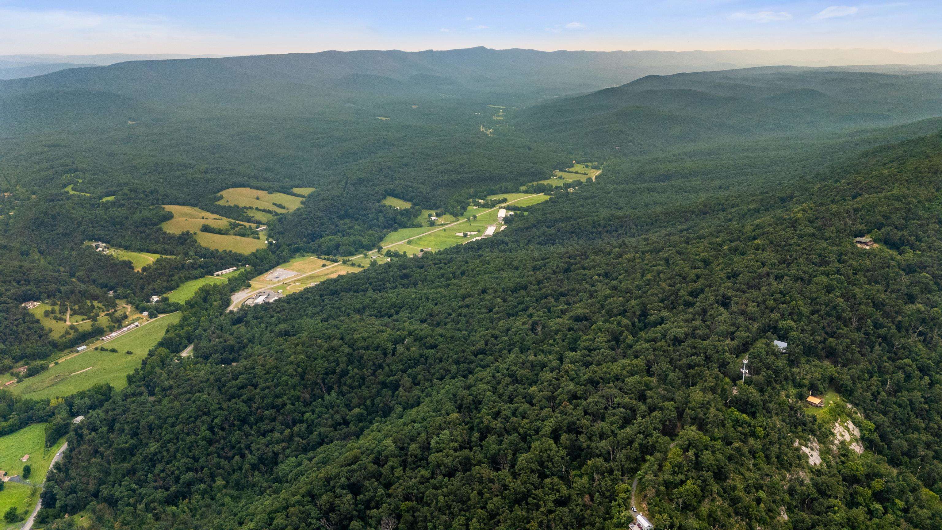 198 acres RUNIONS CREEK RD, BROADWAY, Virginia 22815, ,Farm,198 acres RUNIONS CREEK RD,667929 MLS # 667929