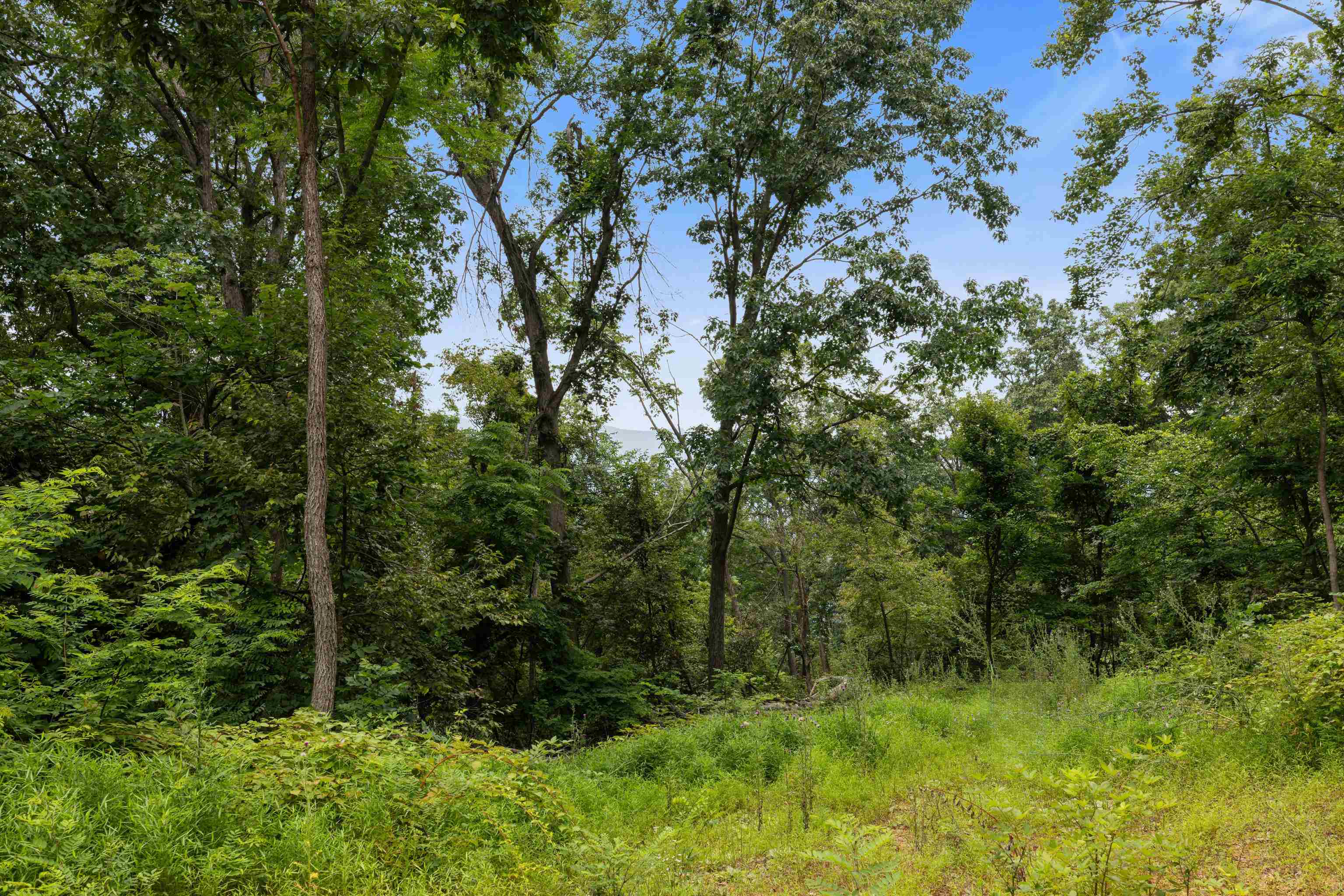 198 acres RUNIONS CREEK RD, BROADWAY, Virginia 22815, ,Farm,198 acres RUNIONS CREEK RD,667929 MLS # 667929