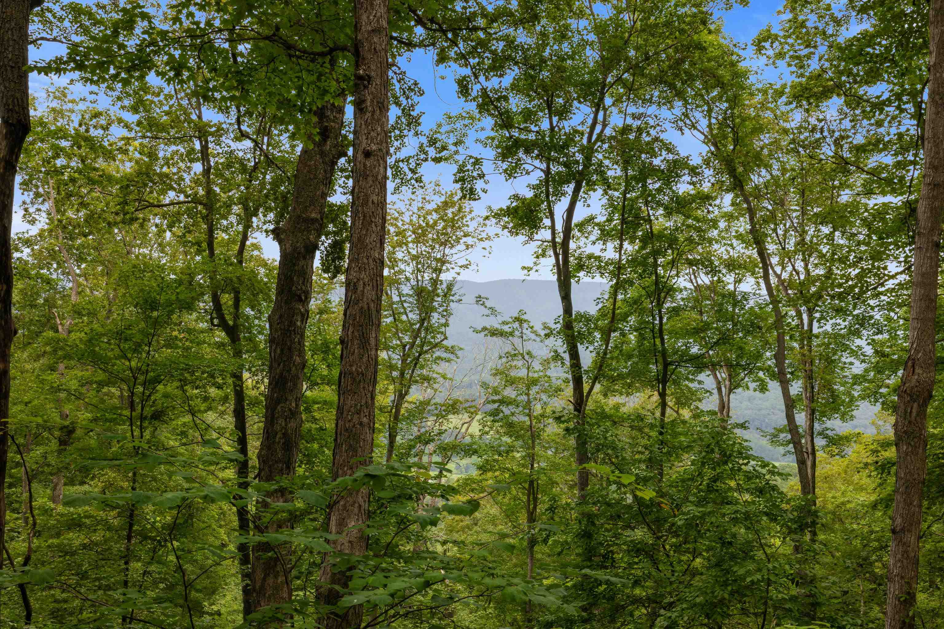 198 acres RUNIONS CREEK RD, BROADWAY, Virginia 22815, ,Farm,198 acres RUNIONS CREEK RD,667929 MLS # 667929