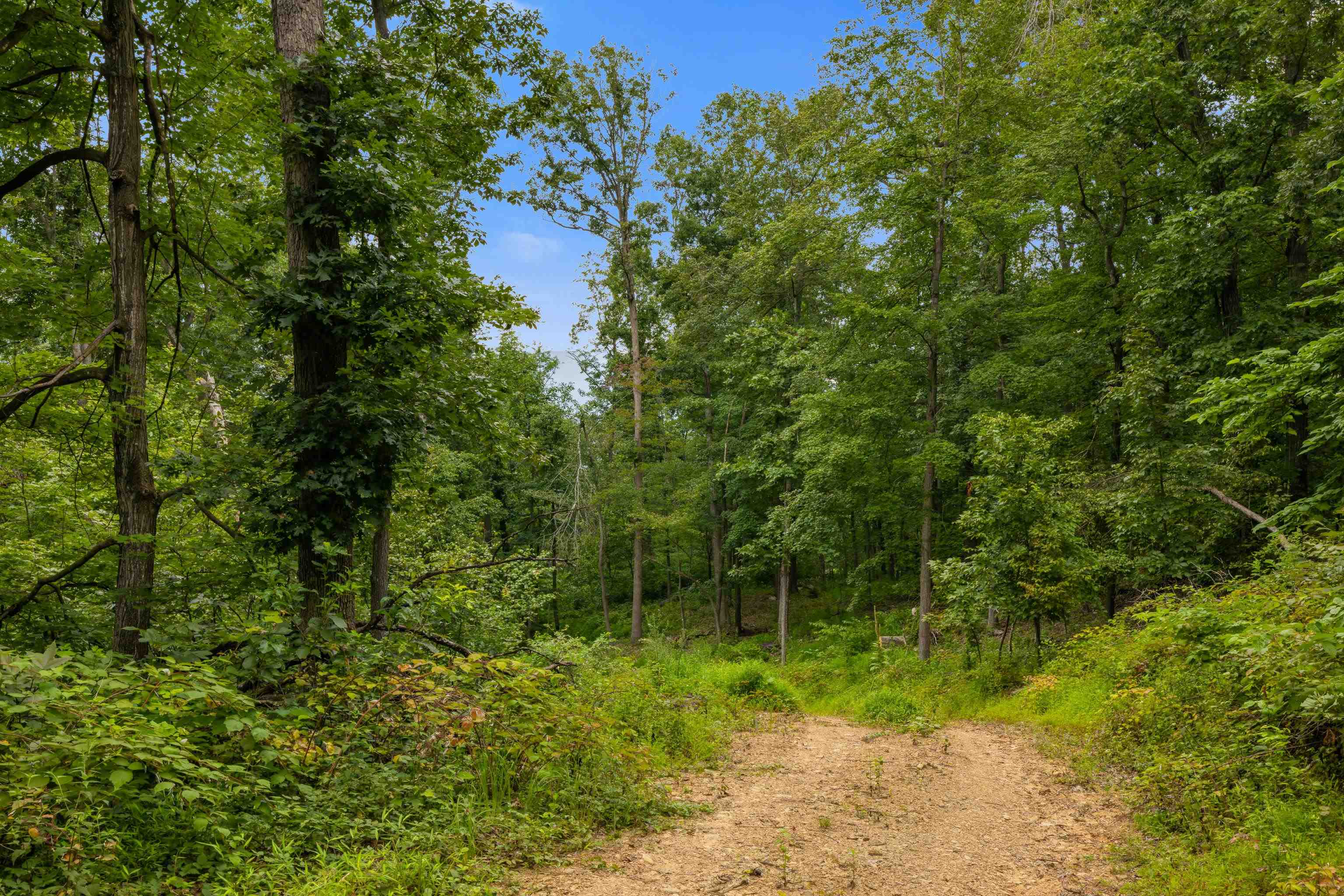198 acres RUNIONS CREEK RD, BROADWAY, Virginia 22815, ,Farm,198 acres RUNIONS CREEK RD,667929 MLS # 667929
