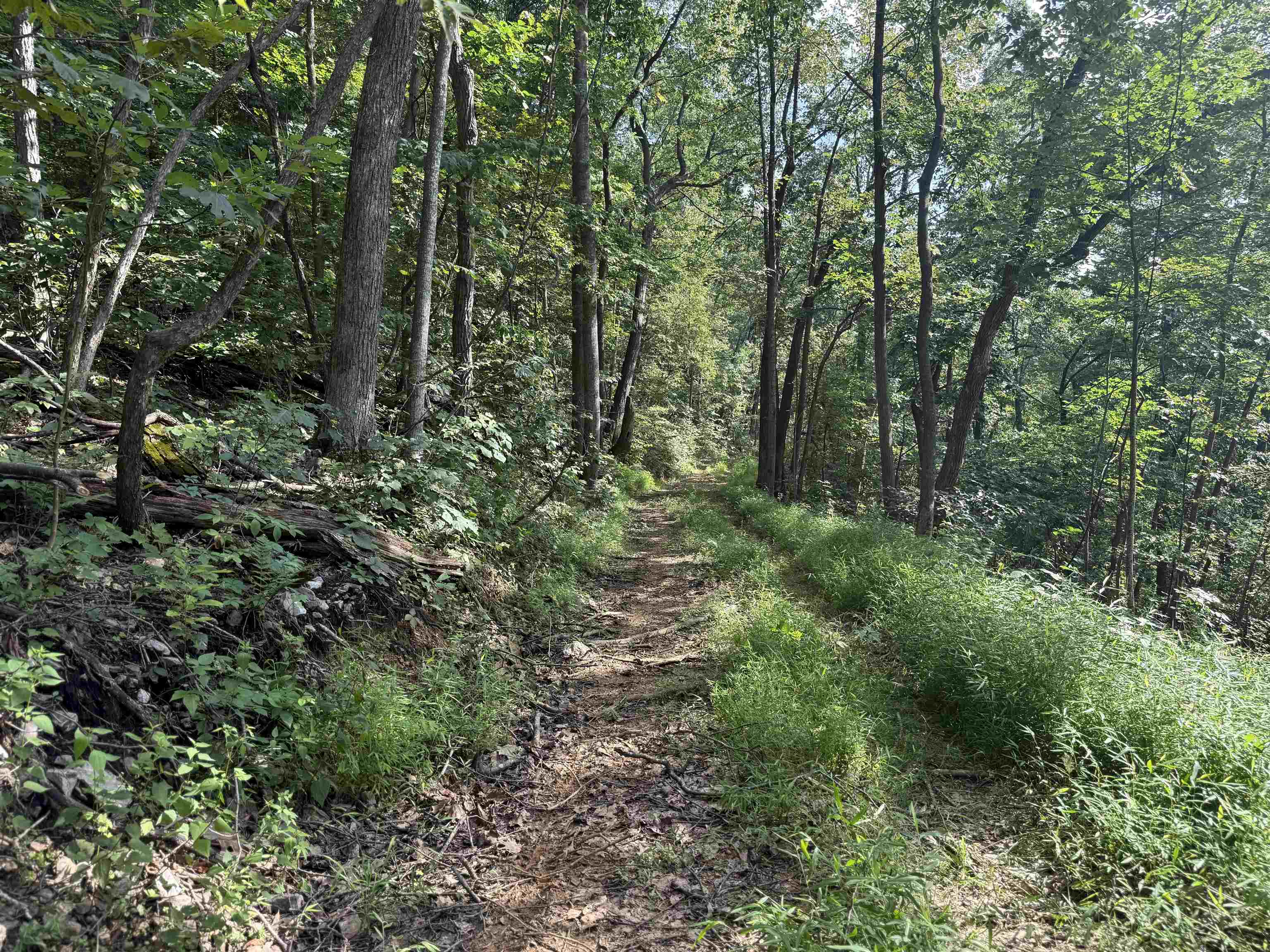 198 acres RUNIONS CREEK RD, BROADWAY, Virginia 22815, ,Farm,198 acres RUNIONS CREEK RD,667929 MLS # 667929